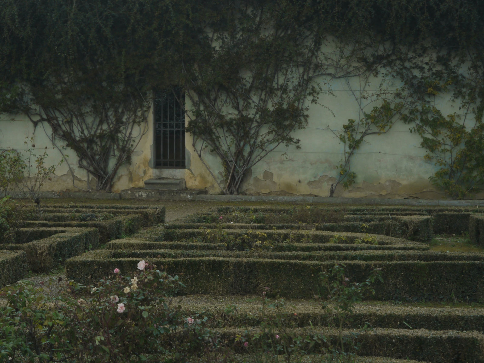 Untitled (Florence) 4