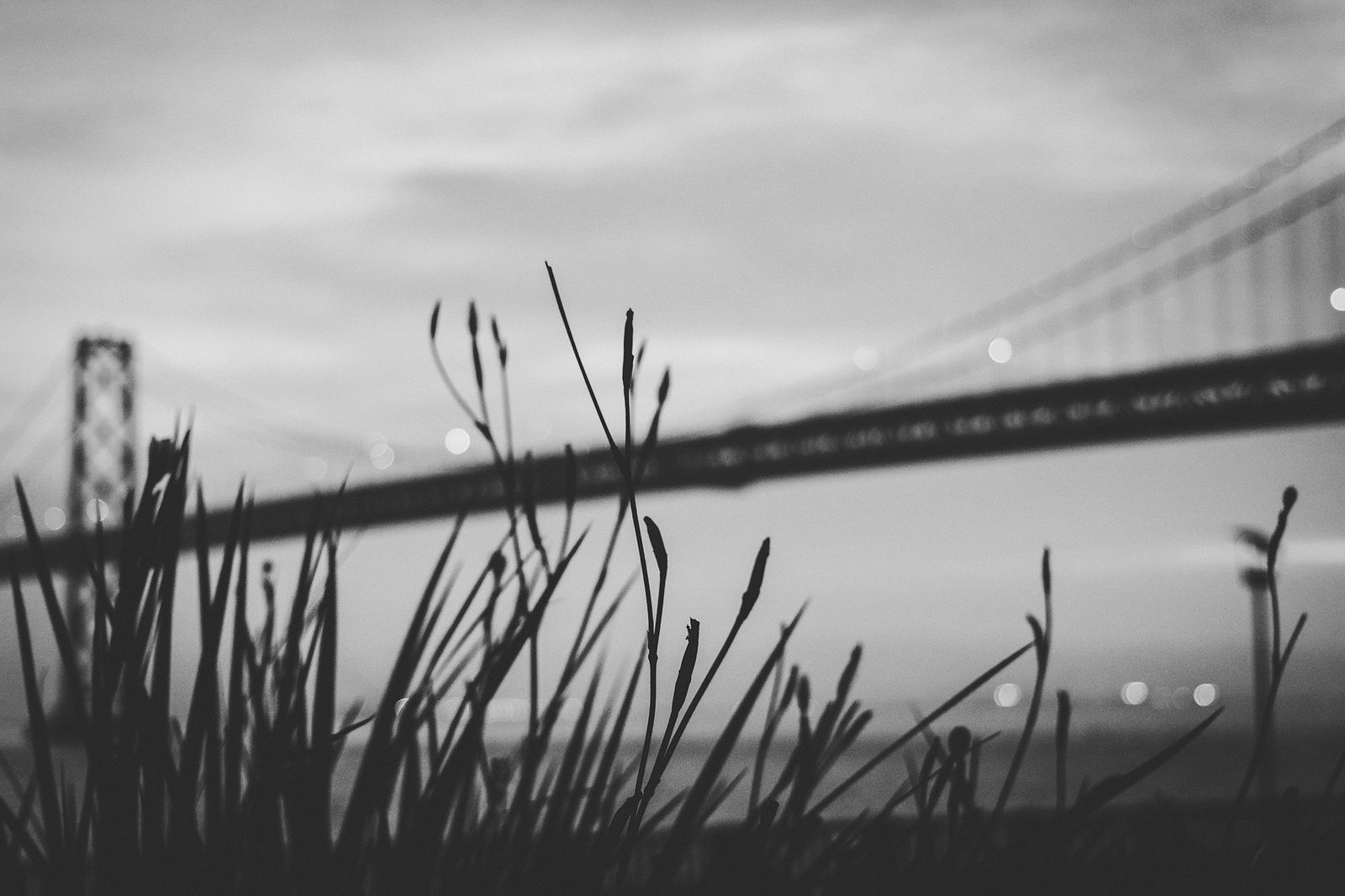 Vikki Moreno, Haze series, 2018