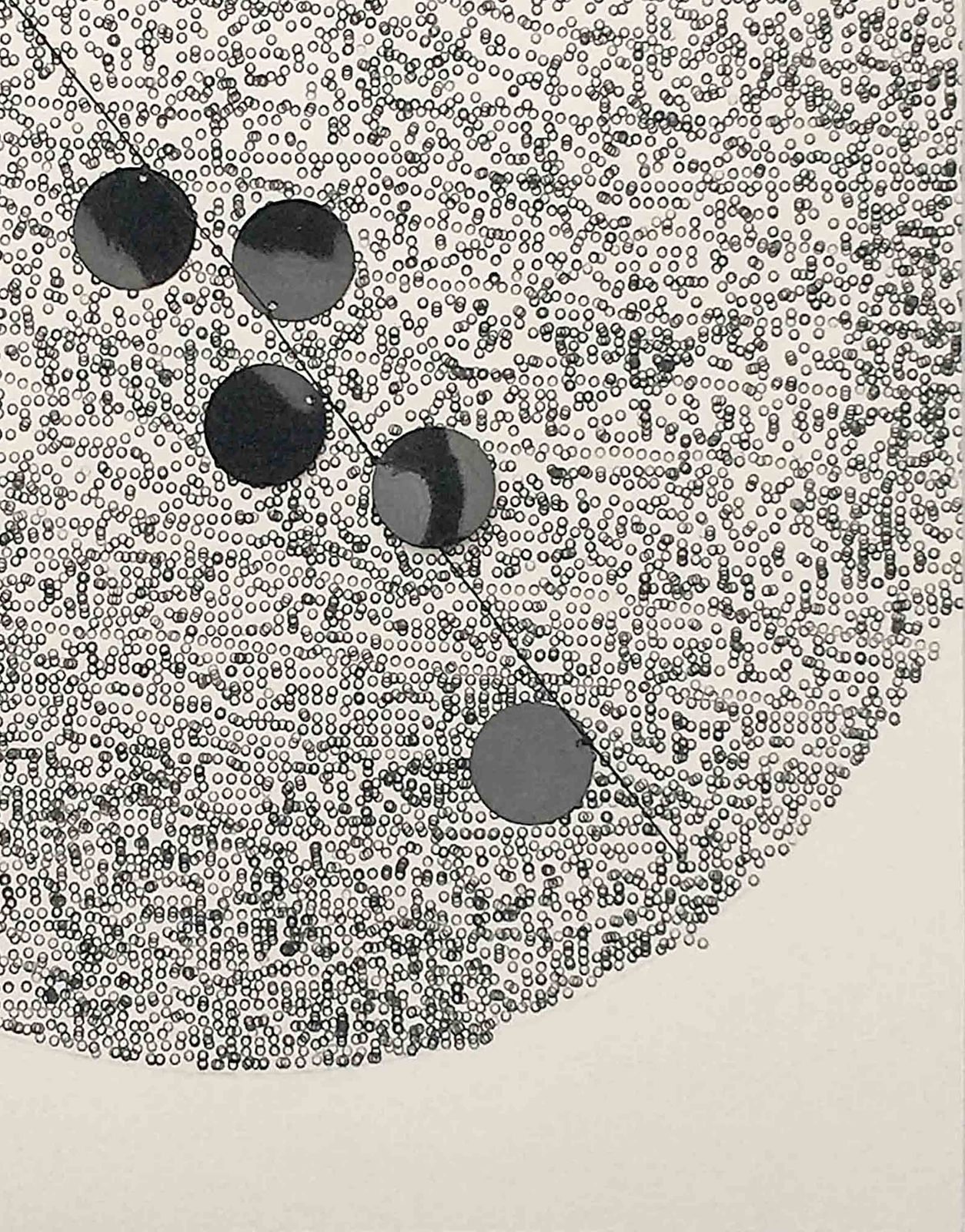 Hello, My Name Is...Brenda, 2021