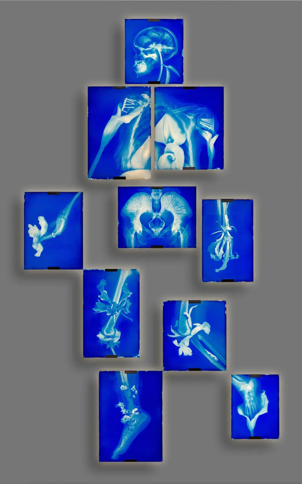 Hu Weiyi, Dream Body No.3, 2024