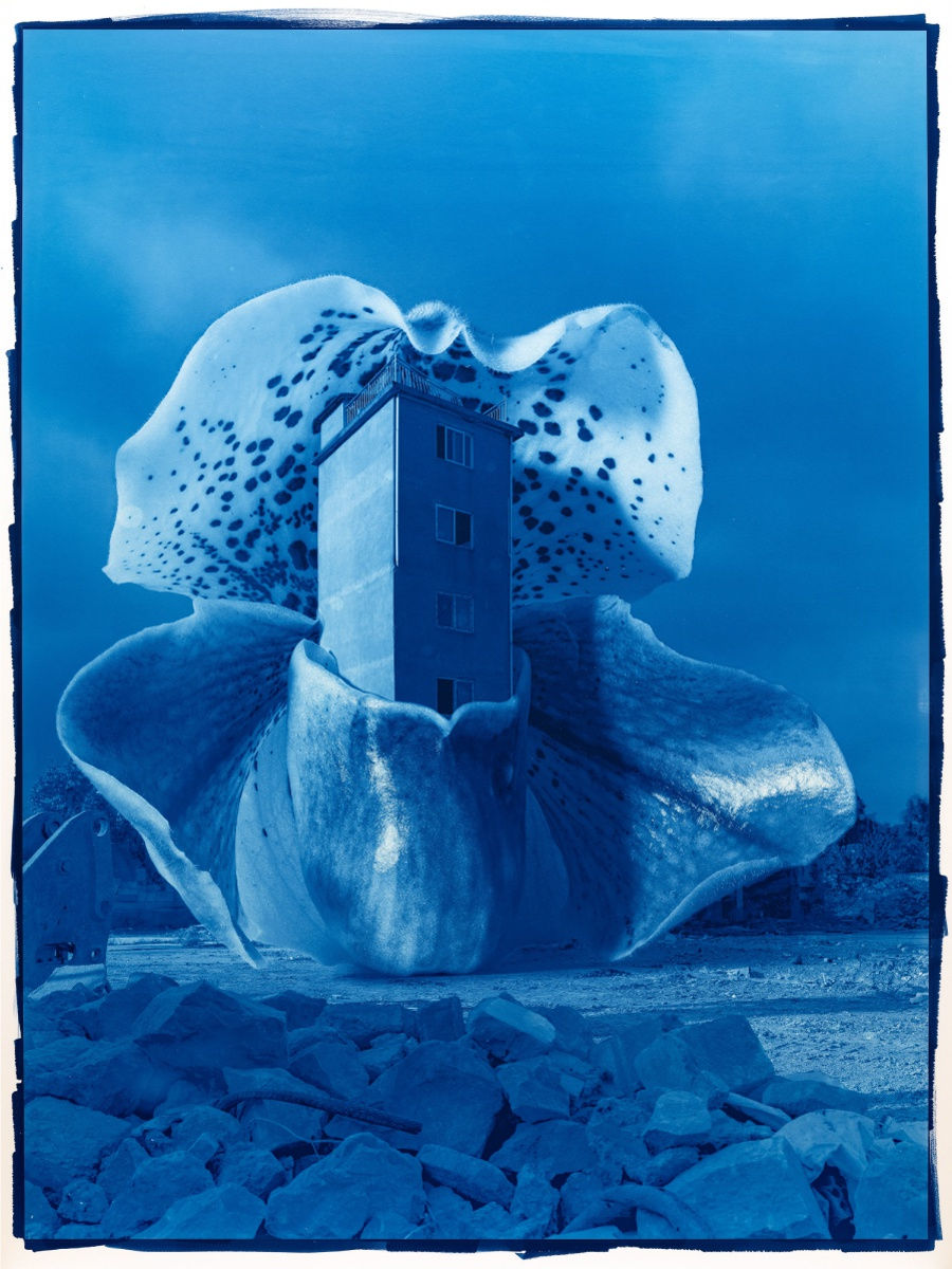 Hu Weiyi, Blueprint No.1, 2021