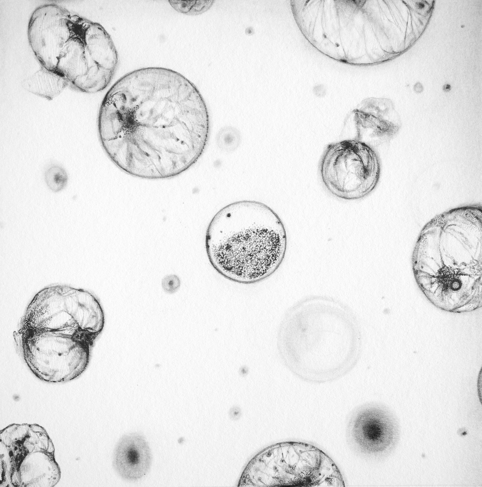 night Light 04 by Juanan Soria, 2024