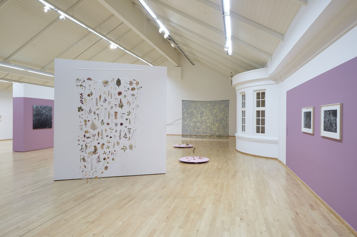 Installation view, The Wildflower, 2020, Hafnarborg. Arna &Oacute;ttarsd&oacute;ttir, Untitled, 2014, mixed media, local flora pressed in plastic (foreground). Photo: Vigf&uacute;s...