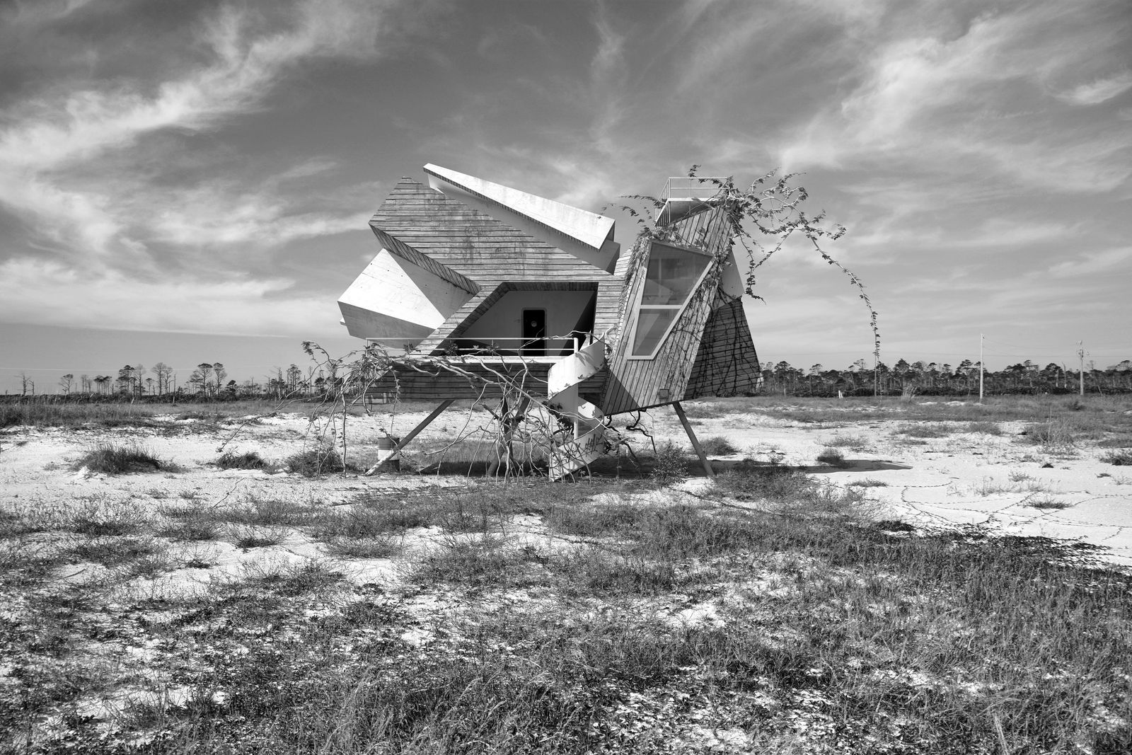 Dionisio Gonzalez, Inter-Actions 12, 2013