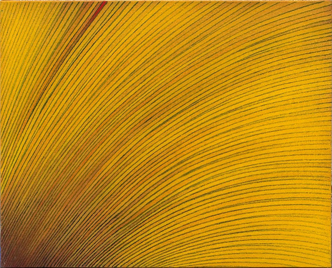 Ignacio Tovar, Vente conmigo a casa, 2019