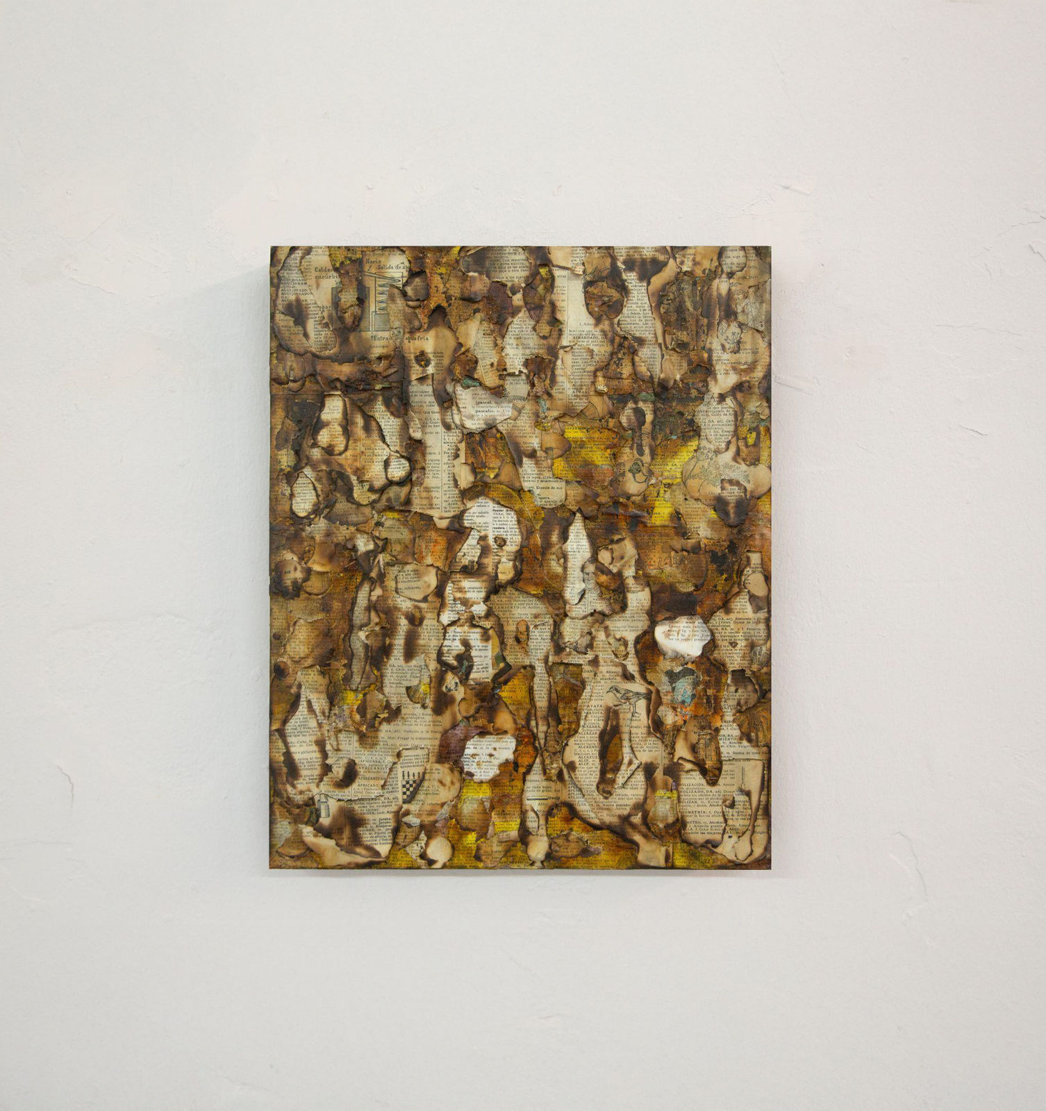 Alejandro Co, Pinturas de archivo abierto (AC 25008), 2025