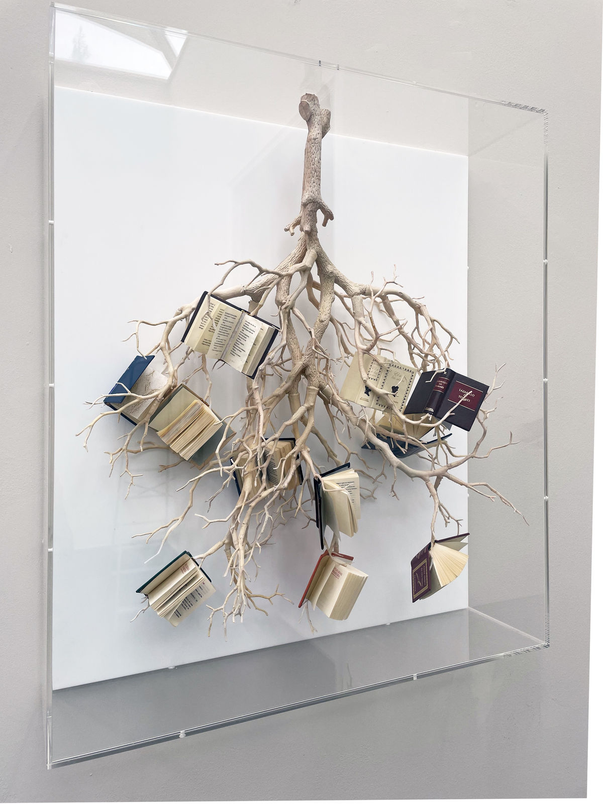 Aixa Portero, El cultivo de Nussabaum, 2024