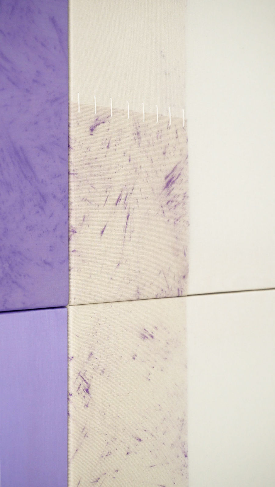 Blannim, Tabebuia, 2025