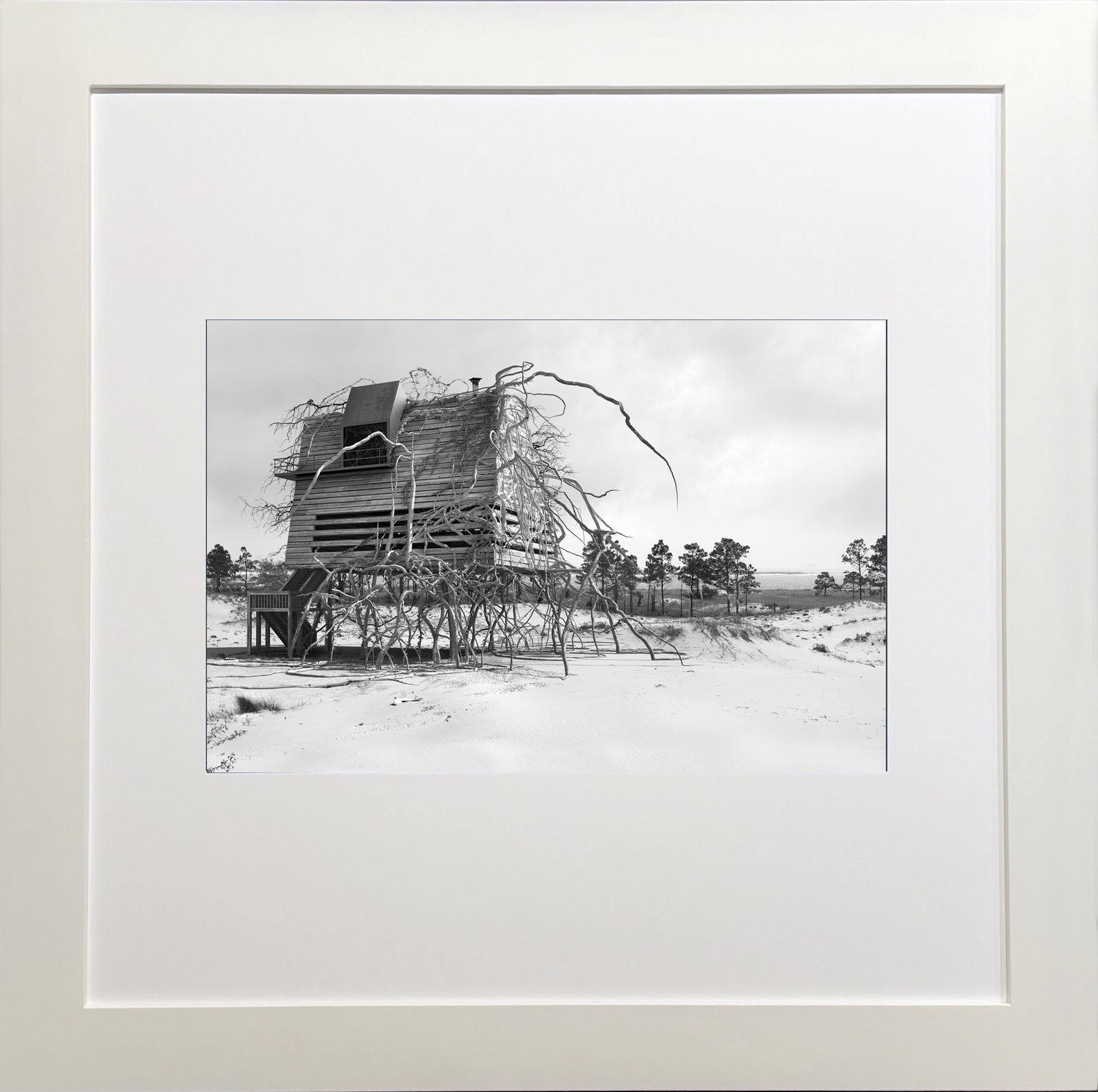 Dionisio Gonzalez, Inter-Actions 8, 2013