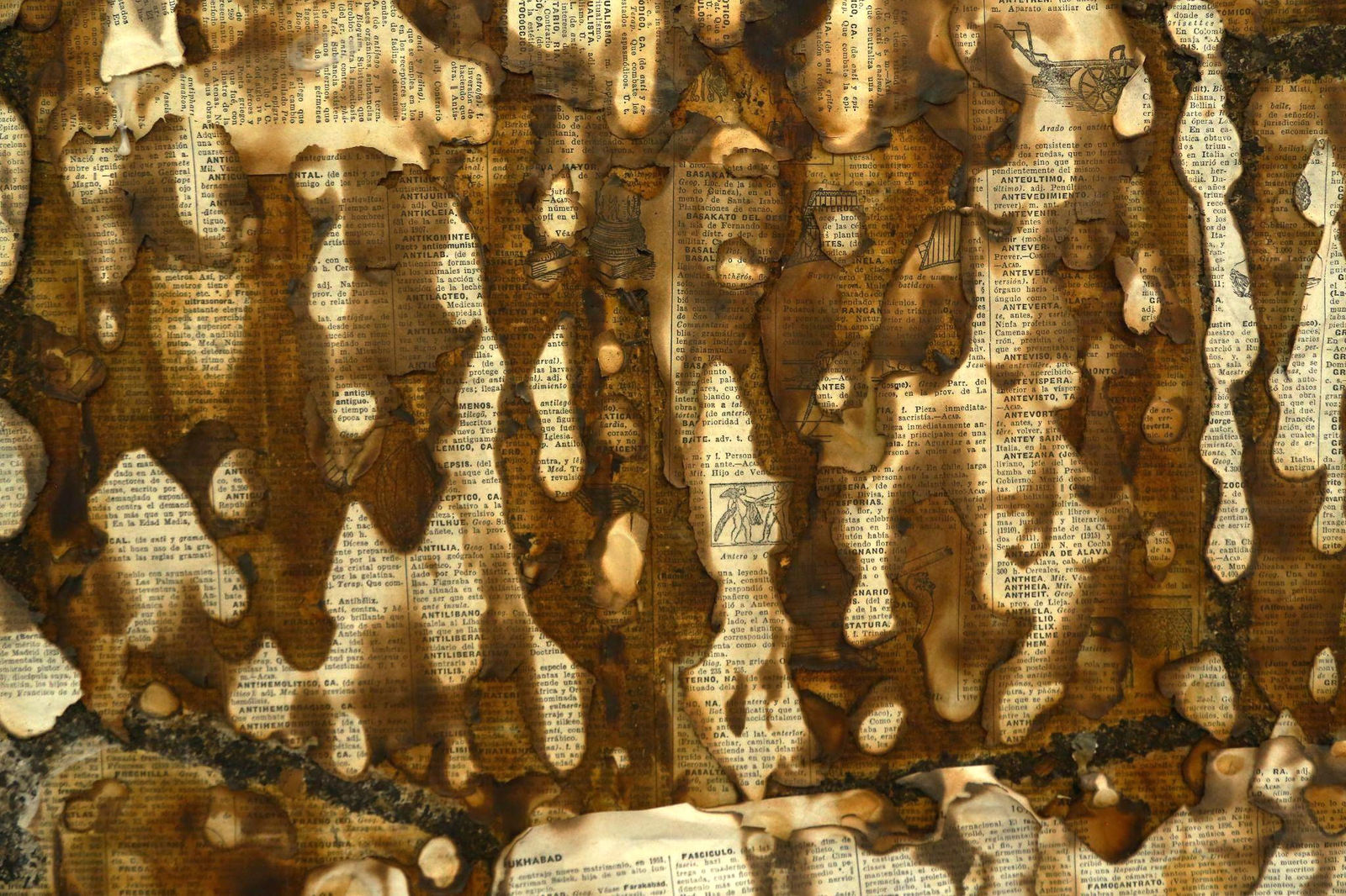 Alejandro Co, Pinturas de archivo abierto (AC 25013), 2025