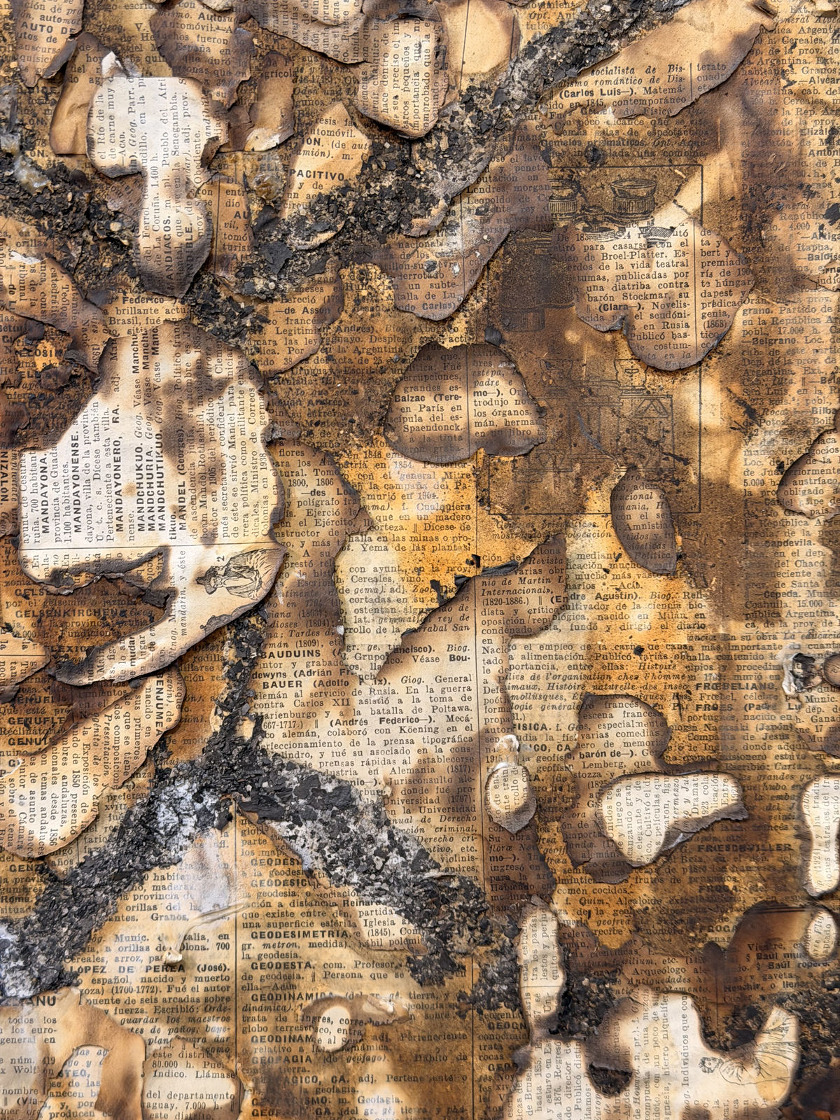 Alejandro Co, Pinturas de archivo abierto (AC 25013), 2025