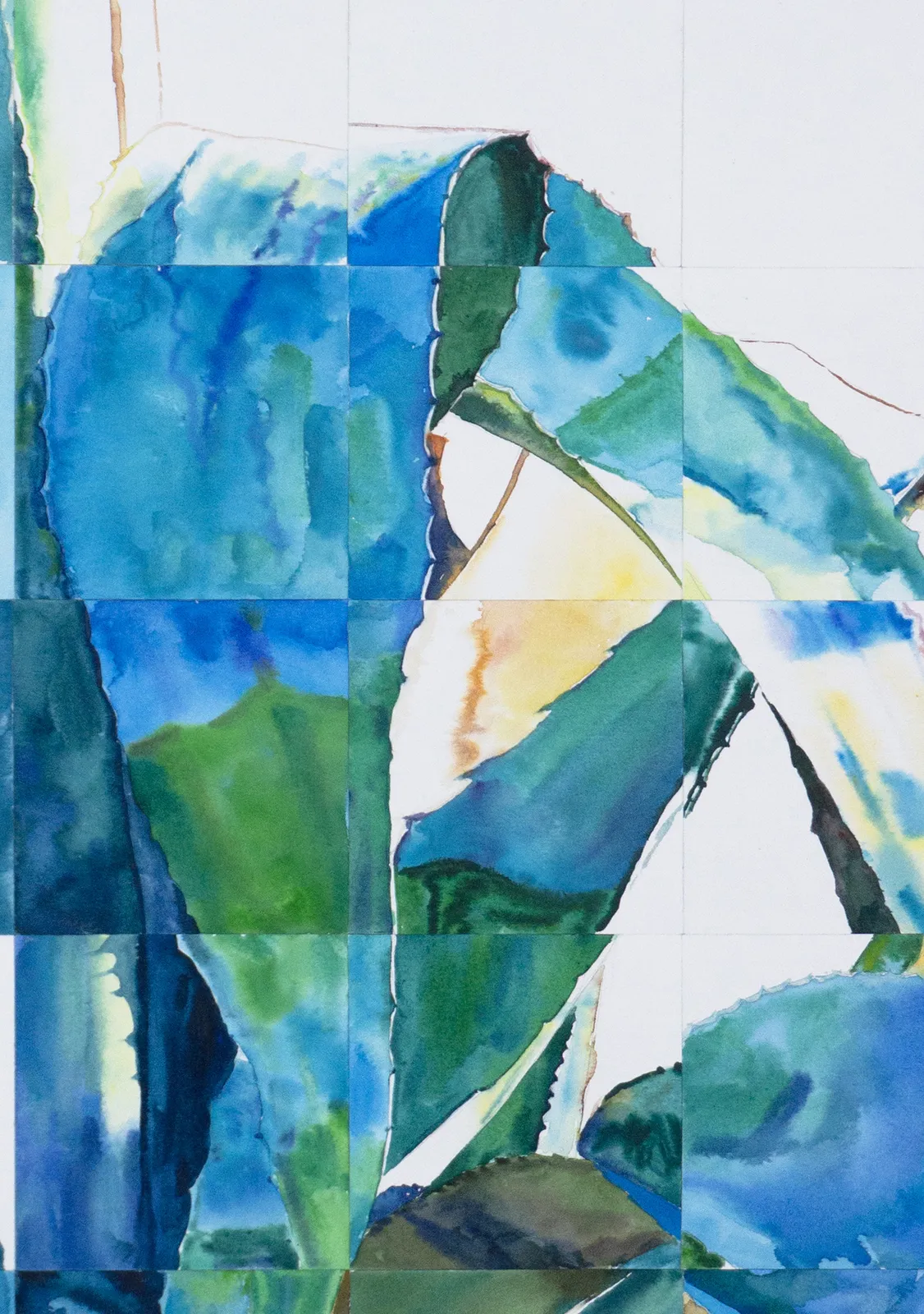 Rodrigo Zamora, Maguey, 2025