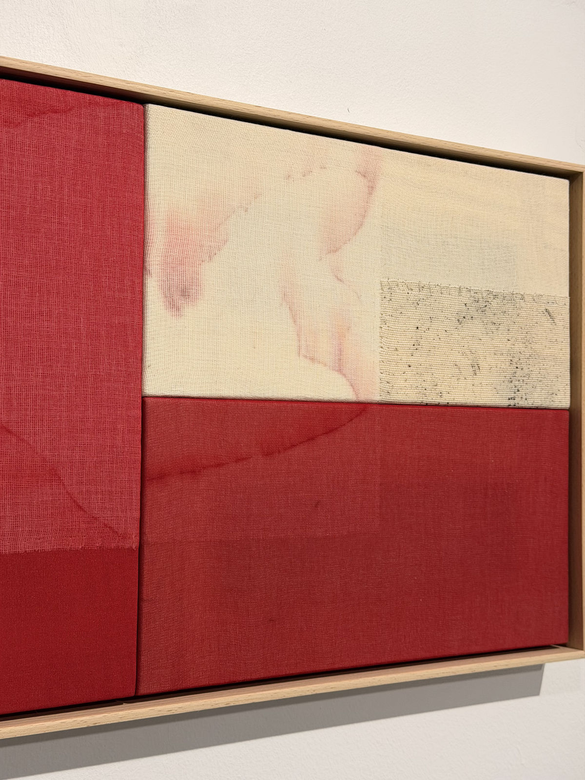 Blannim, Amapola, 2025