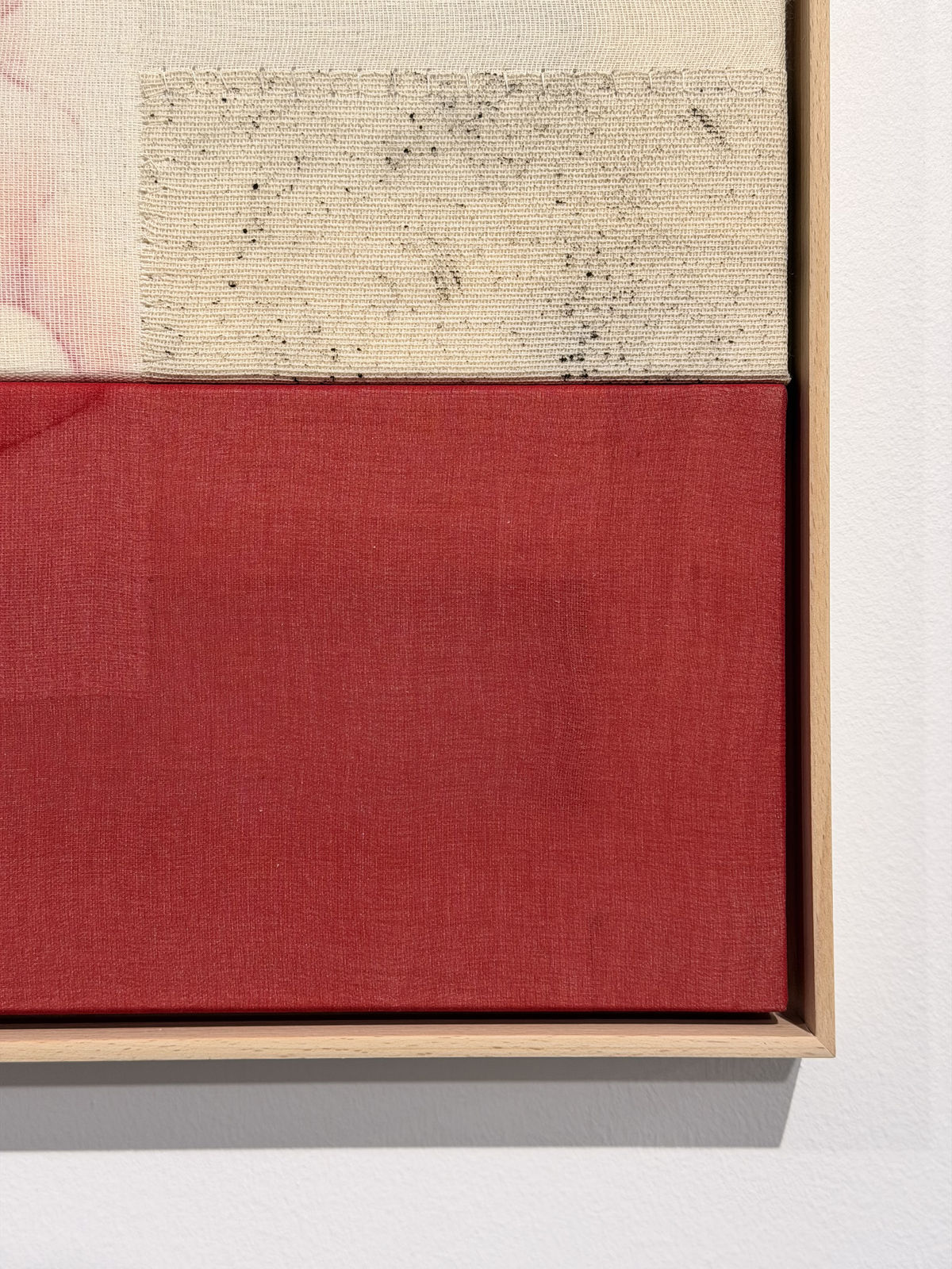 Blannim, Amapola, 2025