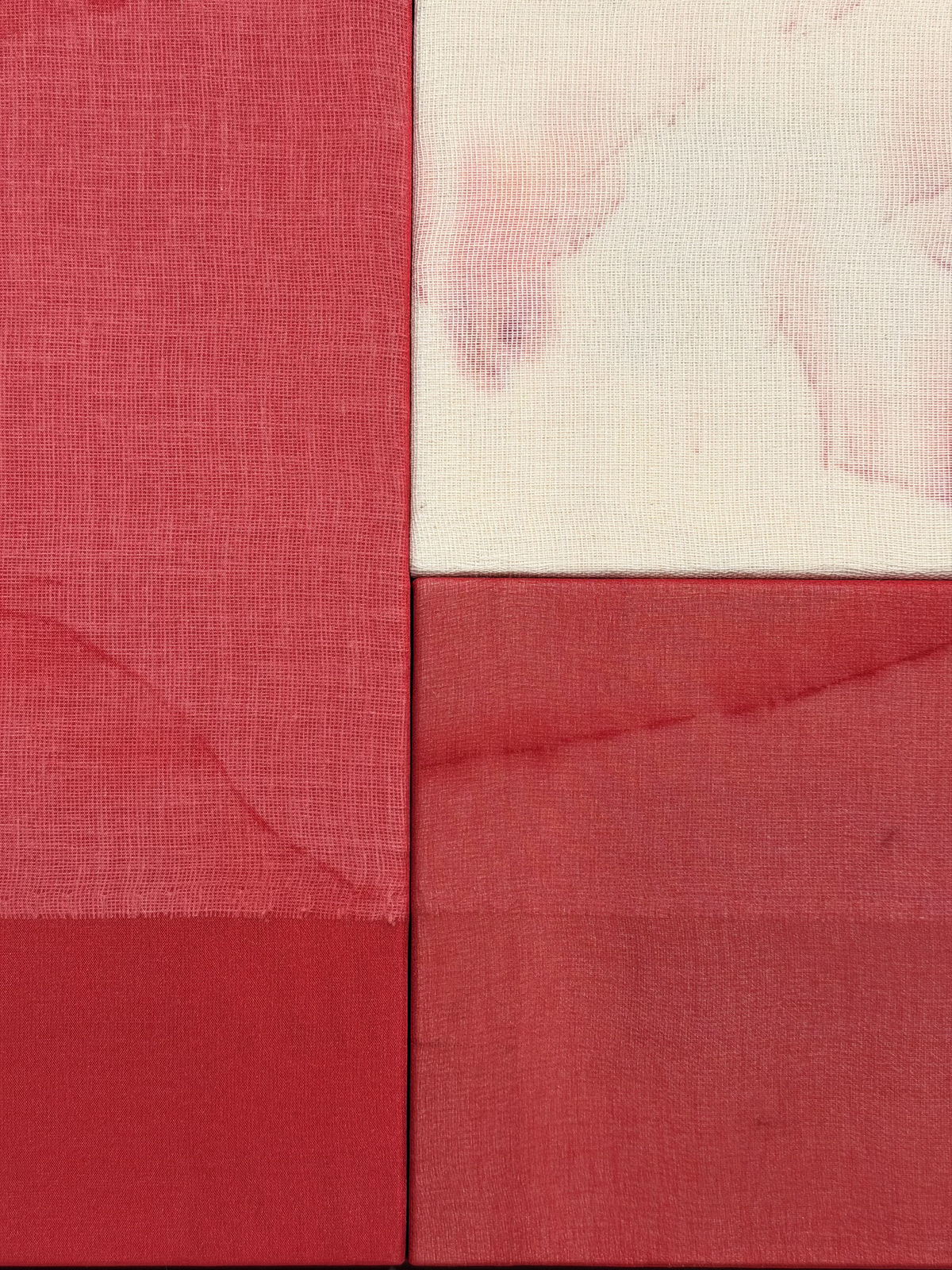 Blannim, Amapola, 2025