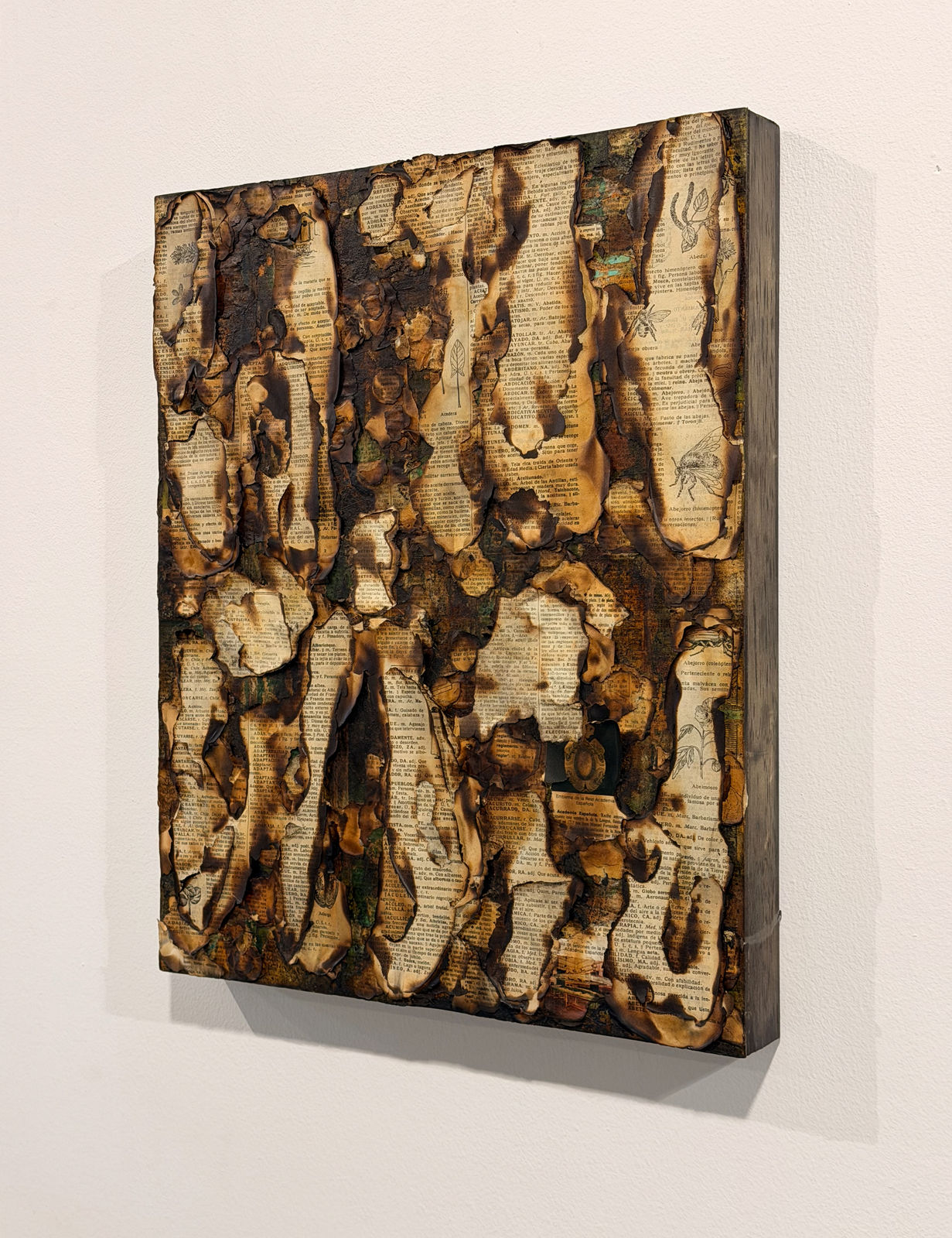 Alejandro Co, Pinturas de archivo abierto (AC 25004) , 2025