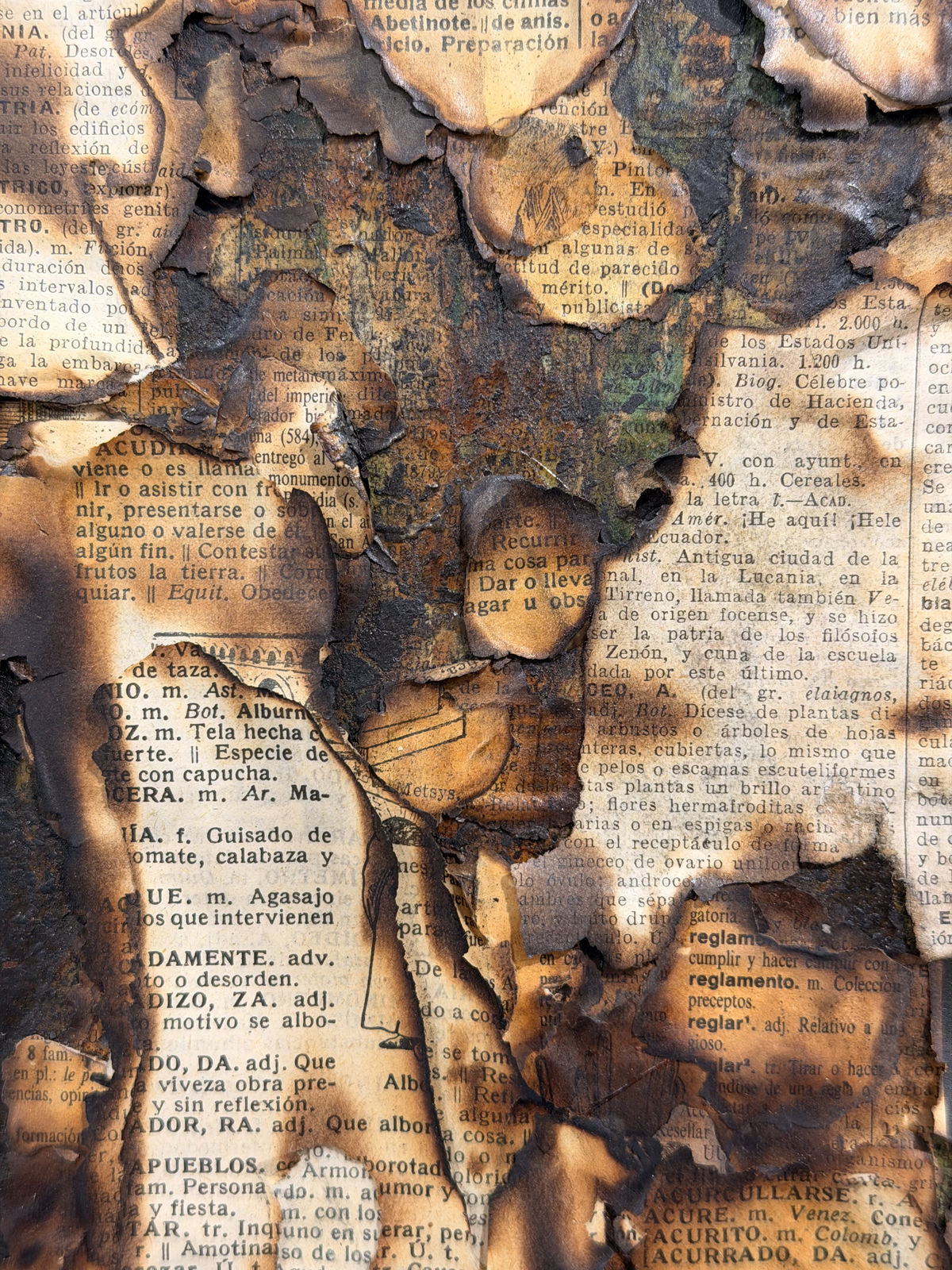 Alejandro Co, Pinturas de archivo abierto (AC 25004) , 2025