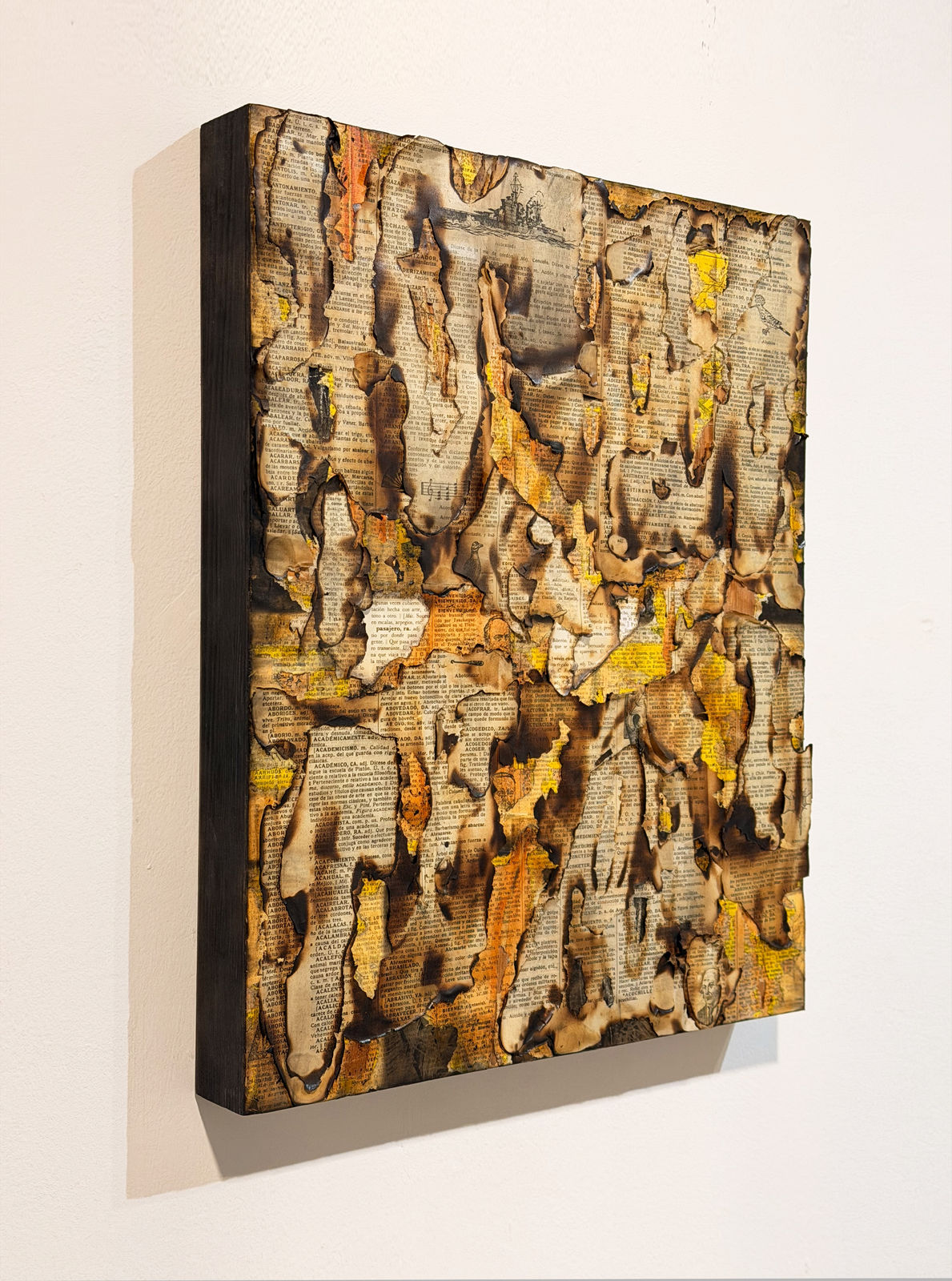 Alejandro Co, Pinturas de archivo abierto (AC 25005), 2025