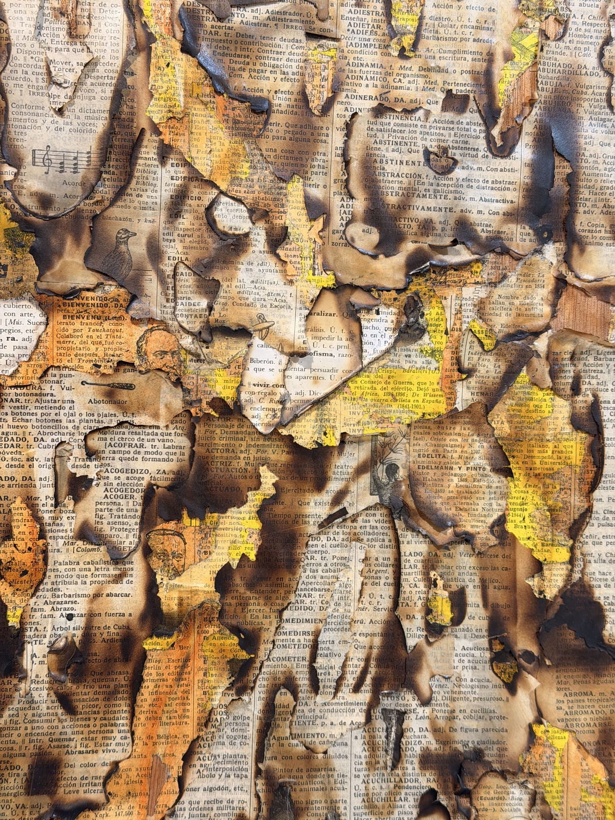 Alejandro Co, Pinturas de archivo abierto (AC 25005), 2025