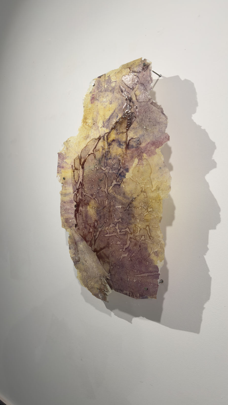 Paula Blanco, La respiración de las semillas, 2025