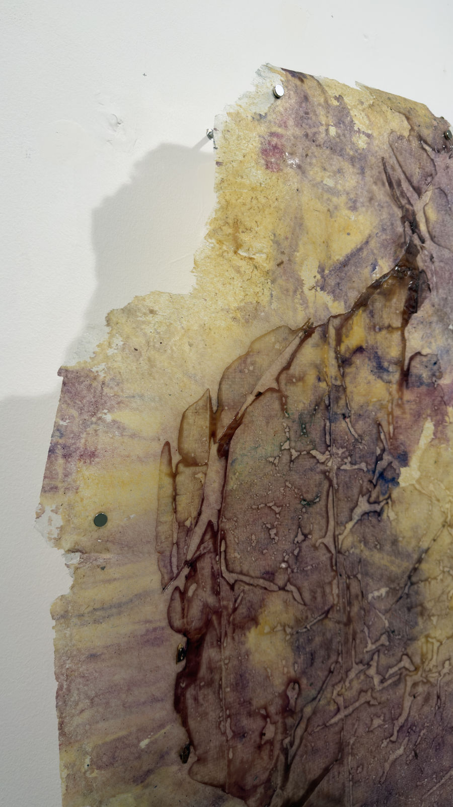 Paula Blanco, La respiración de las semillas, 2025