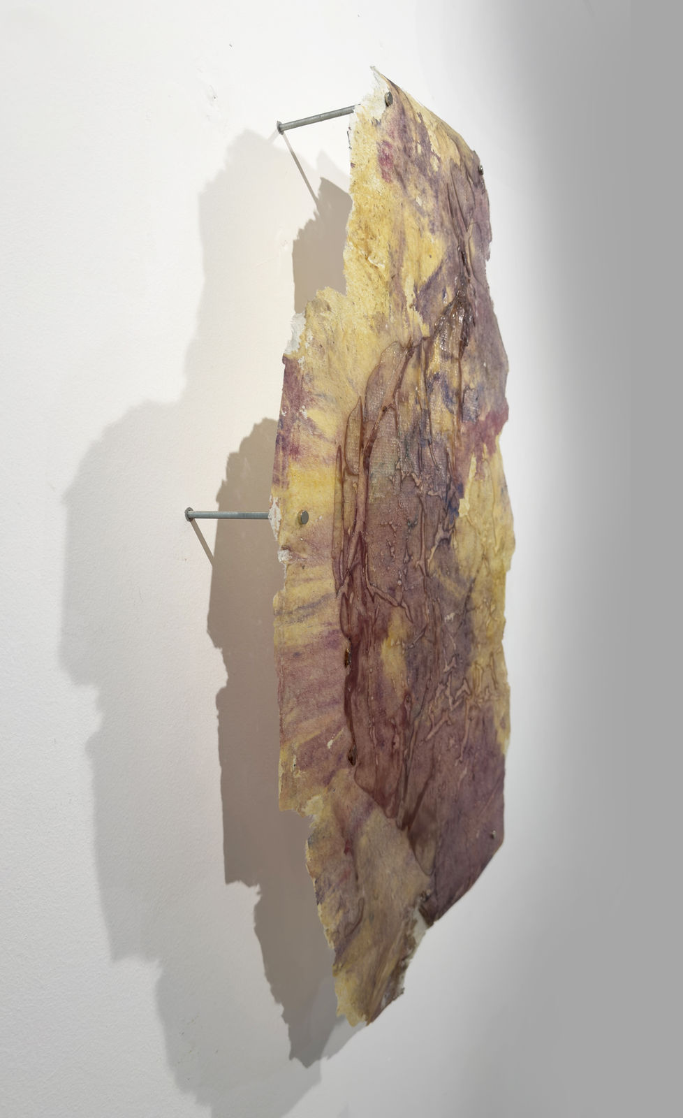 Paula Blanco, La respiración de las semillas, 2025