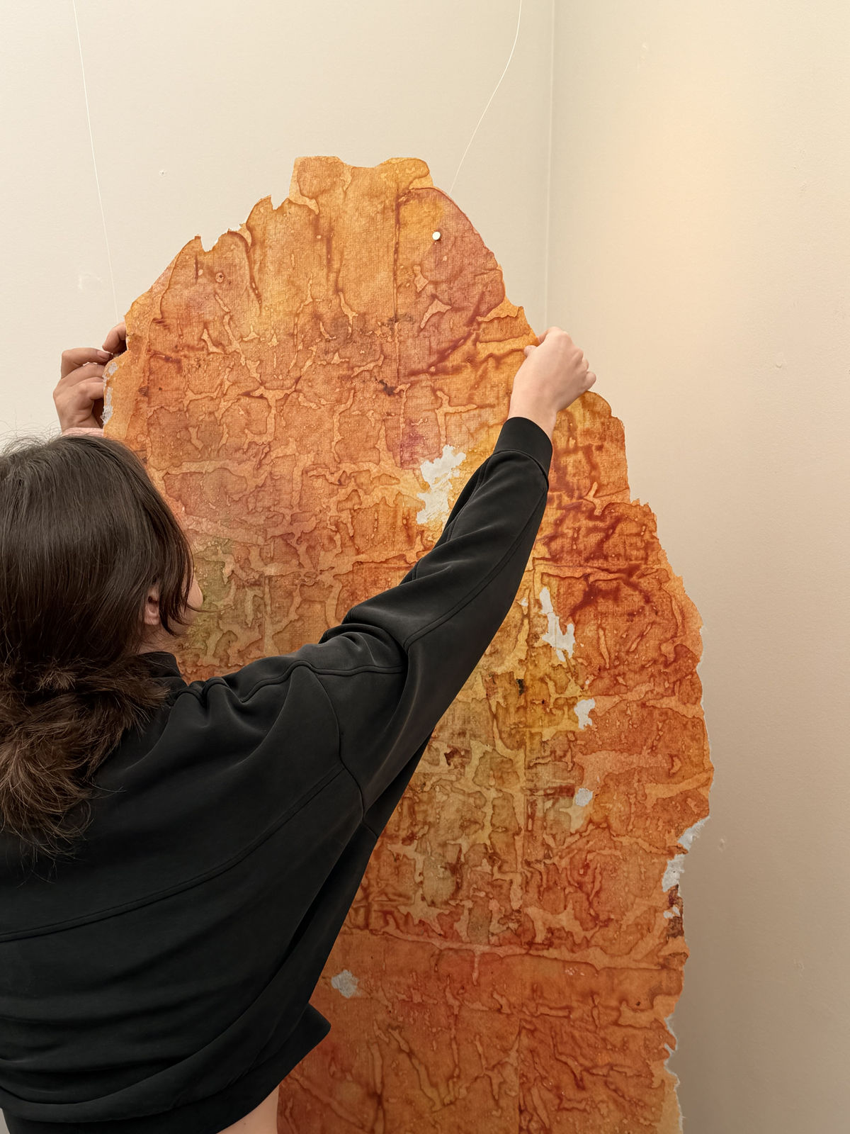 Paula Blanco, Atravesar a cueva (Lo que te diga Bustillo), 2024