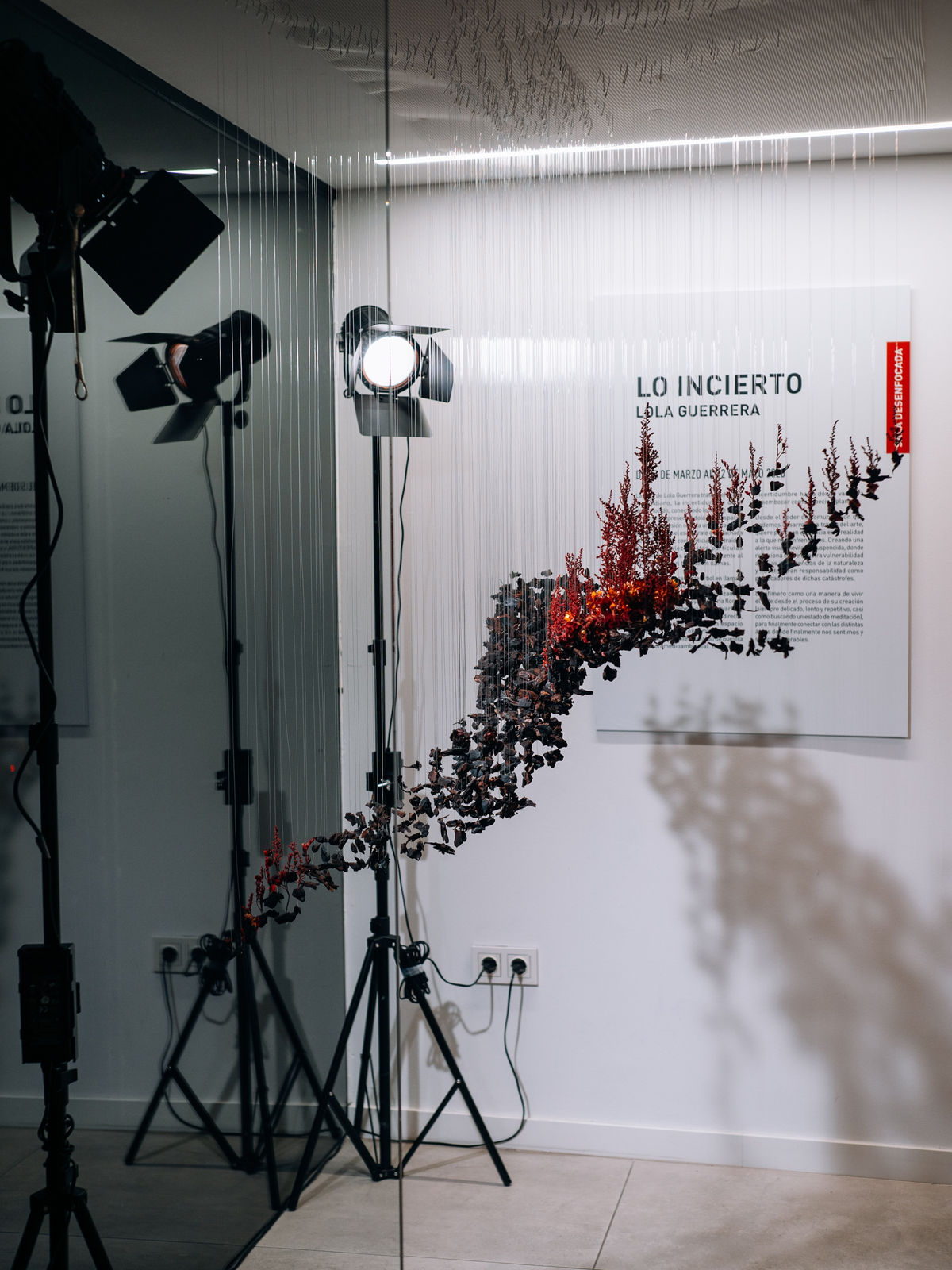 Lola Guerrera, Lo incierto, 2020