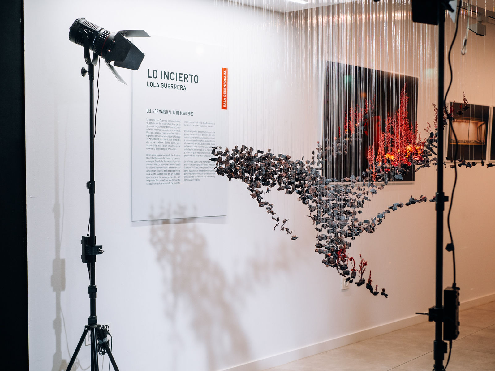 Lola Guerrera, Lo incierto, 2020