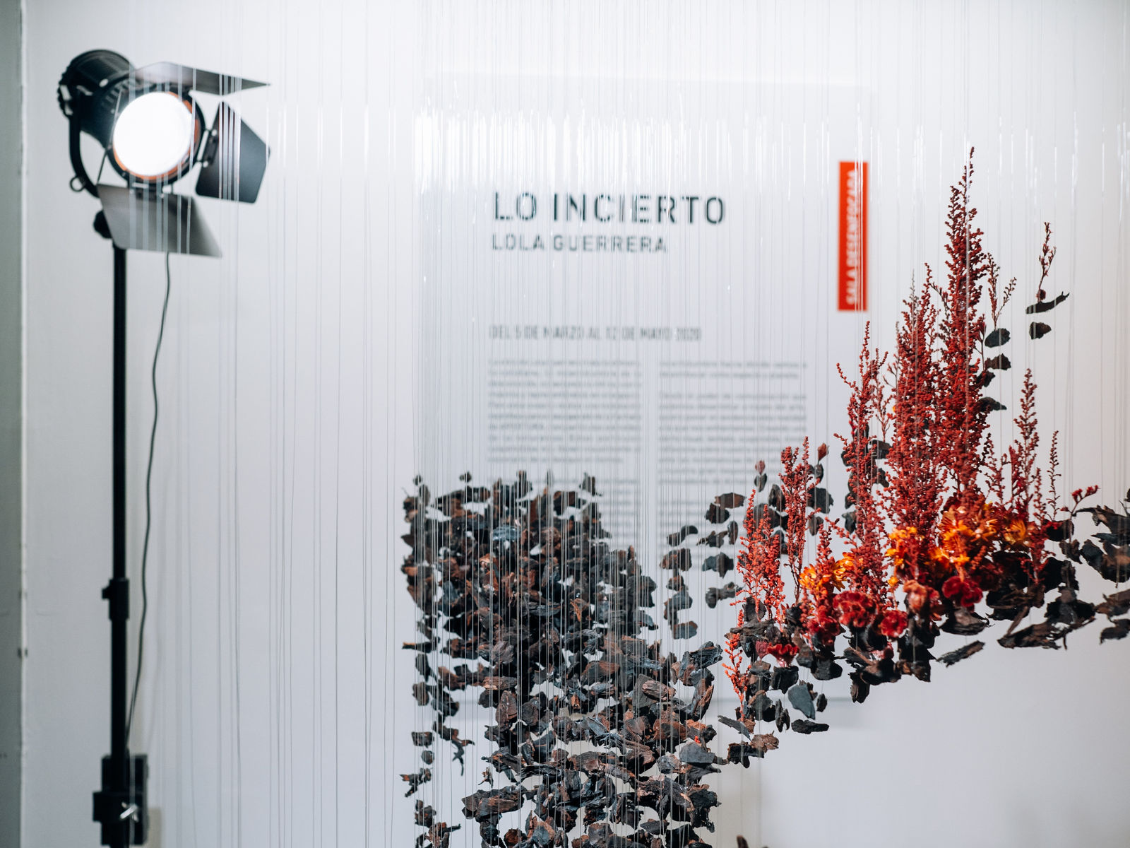 Lola Guerrera, Lo incierto, 2020