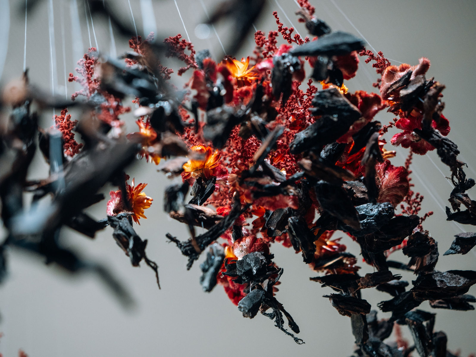 Lola Guerrera, Lo incierto, 2020