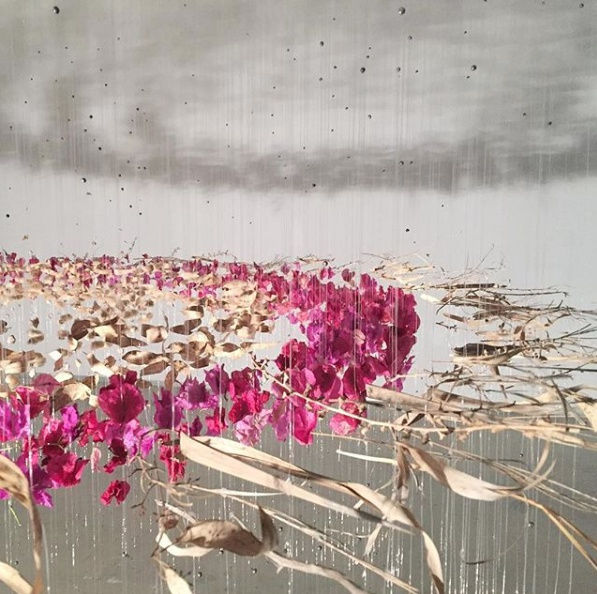 Lola Guerrera, La Elipse