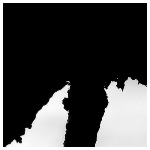 Peter-Cornell Richter, #021372  Tree Writing in an Autumn Garden (for Toru Takemitsu), 2016