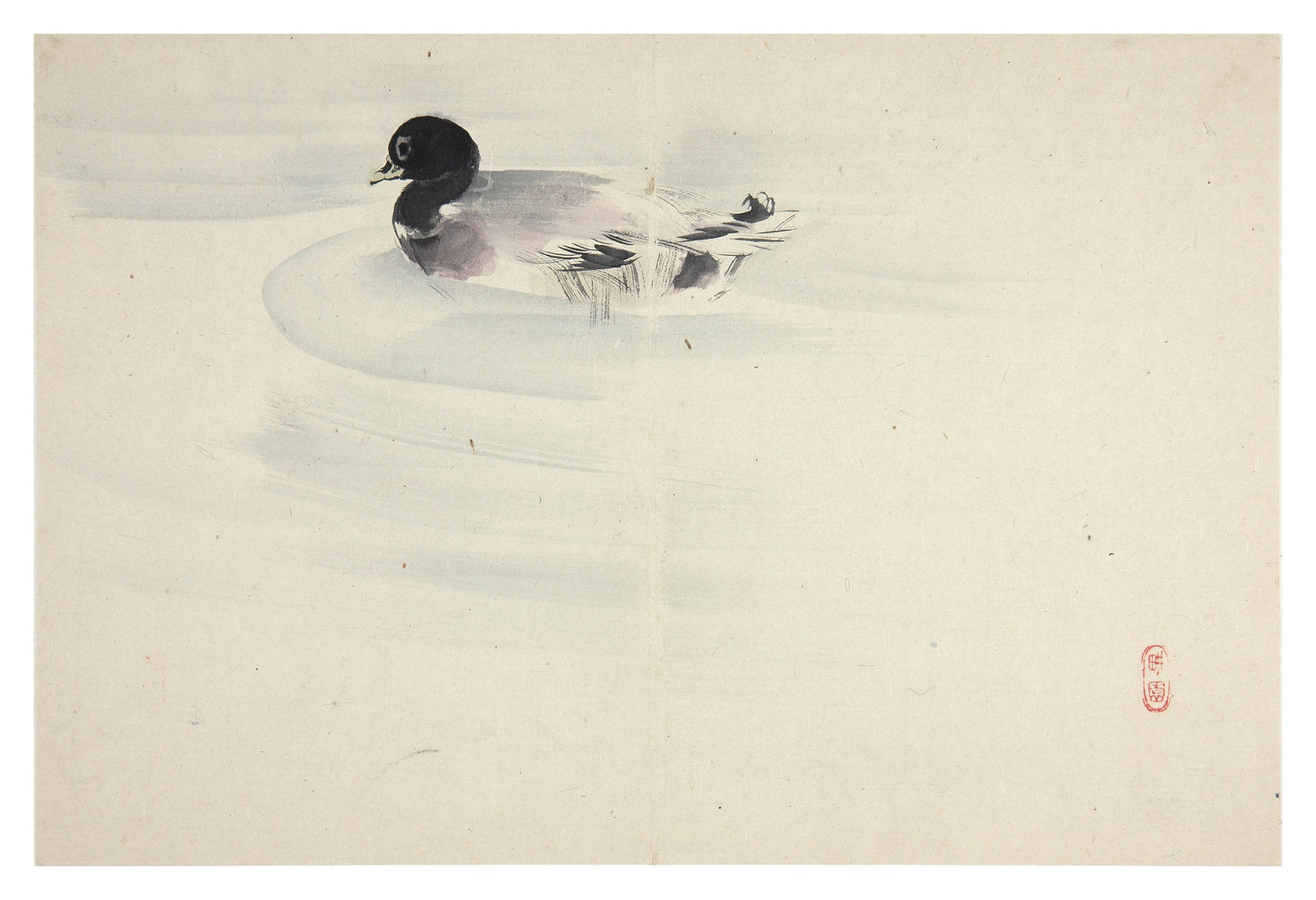 Malerei, #005282  NIWAYAMA KÔEN (1869-1943), Ente im Wasser, 19. / 20. Jahrhundert
