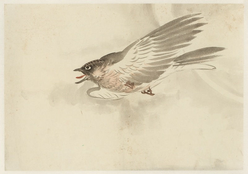 Malerei, #002594  GYOKUSEN Mochizuki (1834-1913), Kuckuck im Flug vor dem Mond, Meiji-Zeit (1868-1912)