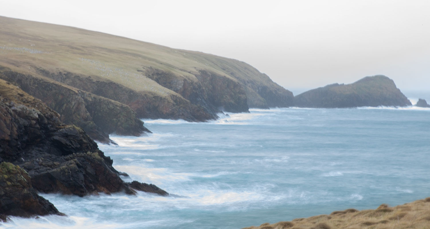 This is the view from Gail Harvey's Sousburgh Bay studio.