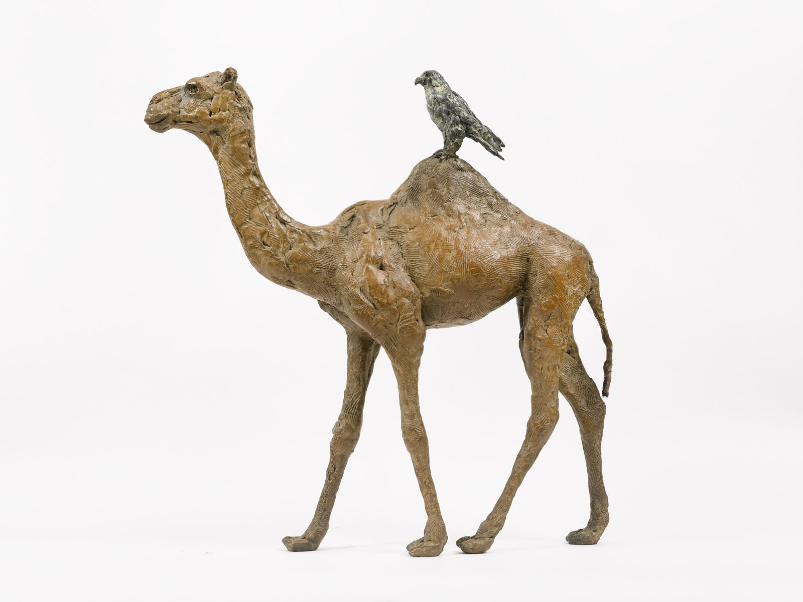 Charlotte Champion, Dromadaire et Gerfaut, 2019