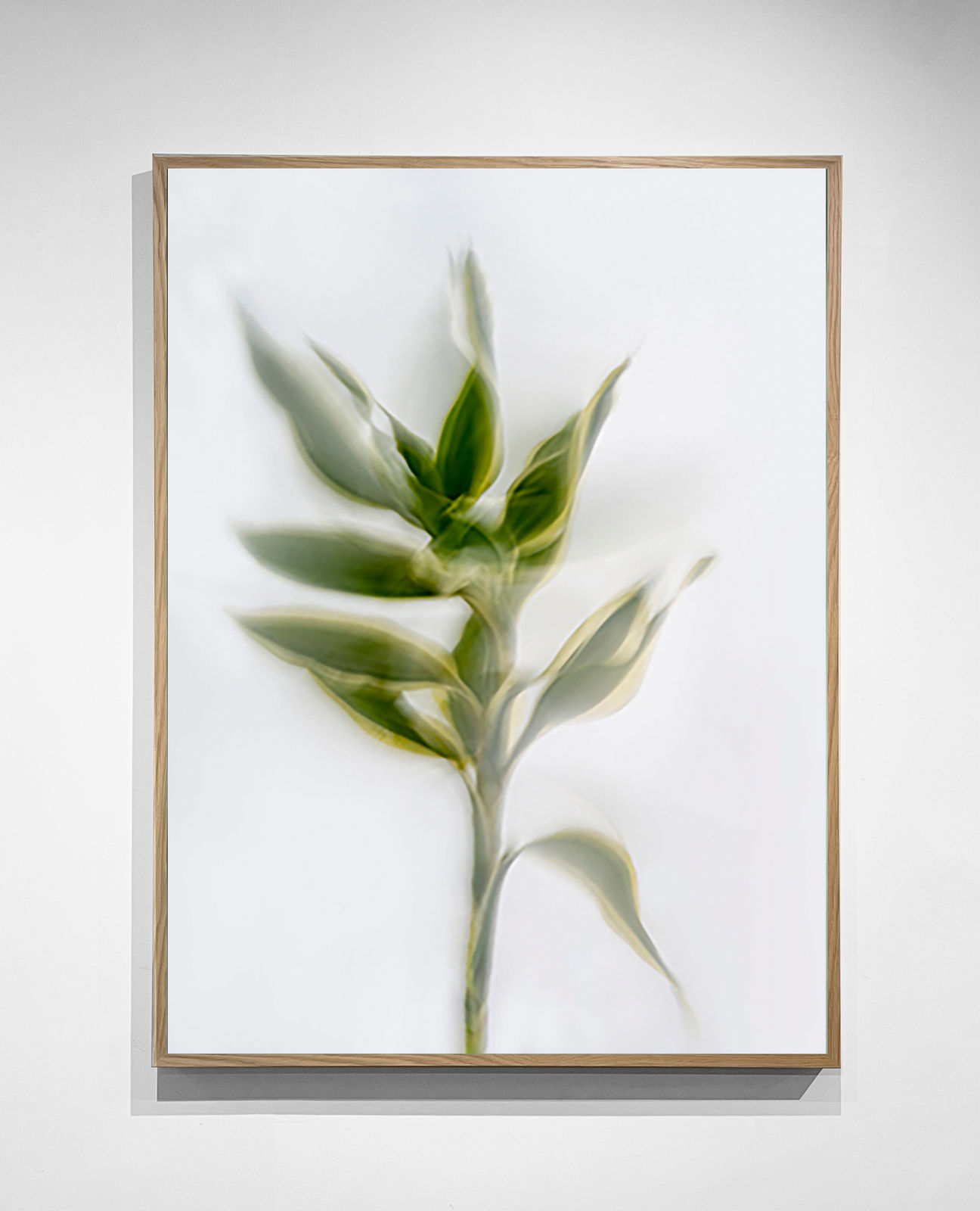 Ana D. & Noora K., Viriditas Motus, 2021