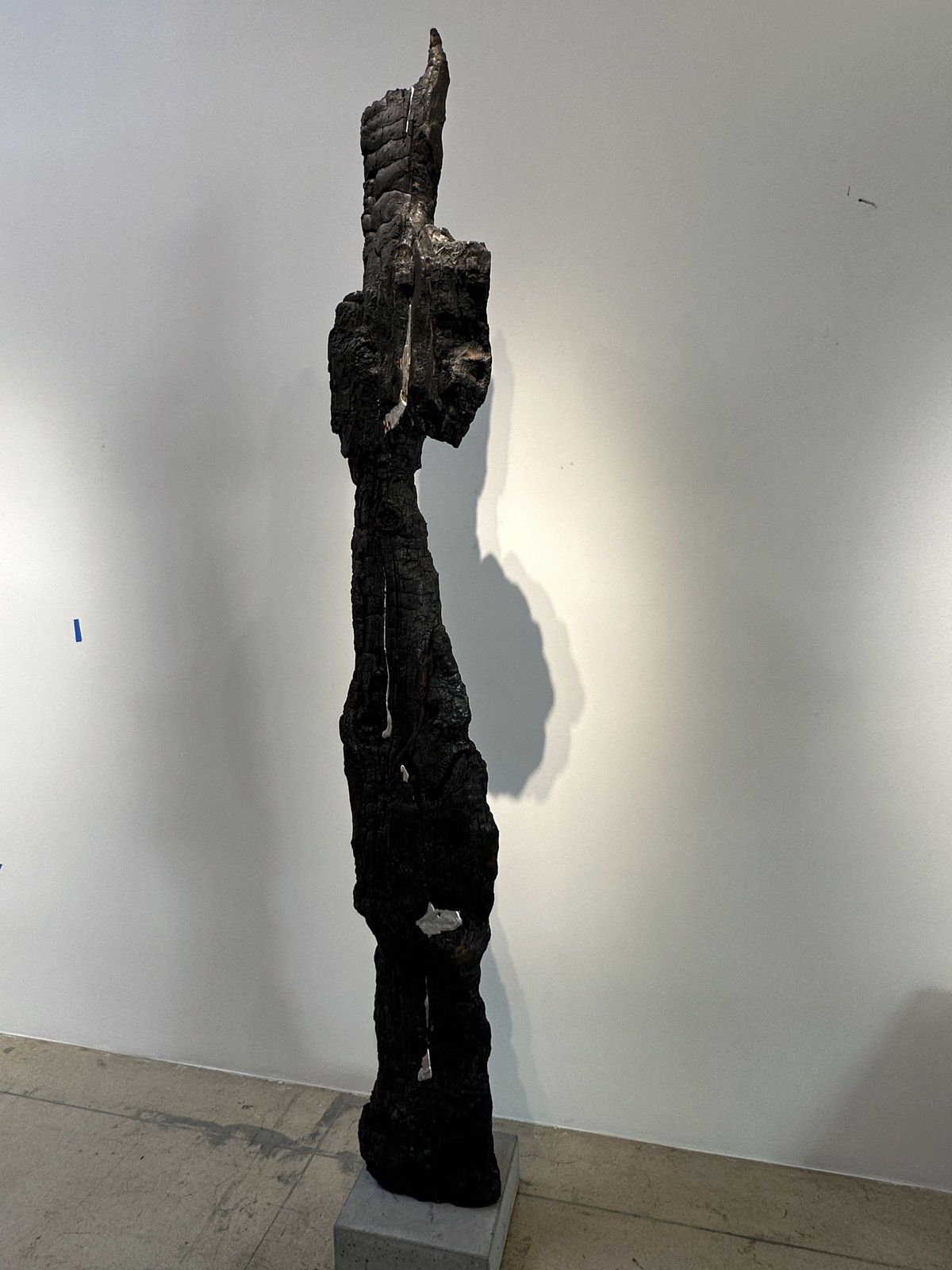 Tyler Burton, Silver Lining