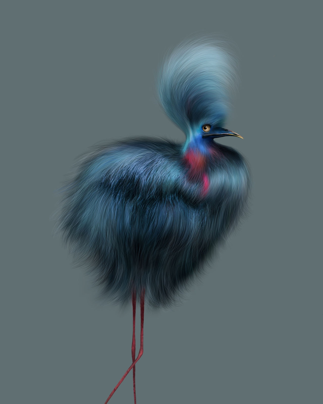 Peppa Potter, Blue Bird