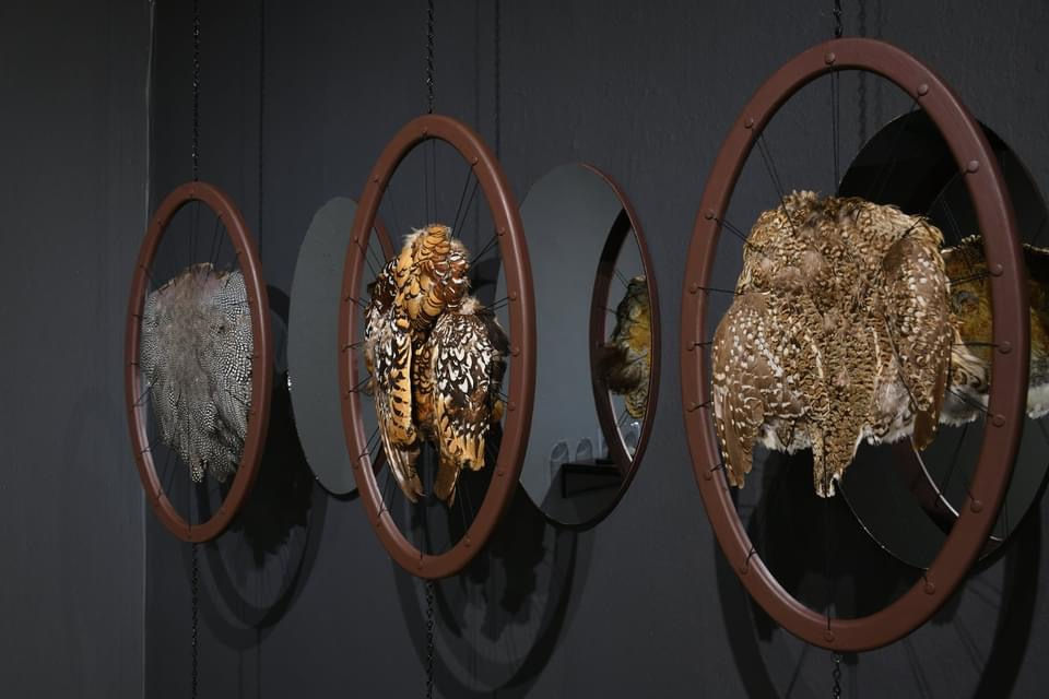 Dhara Rivera, Revisión (Revision), 2021