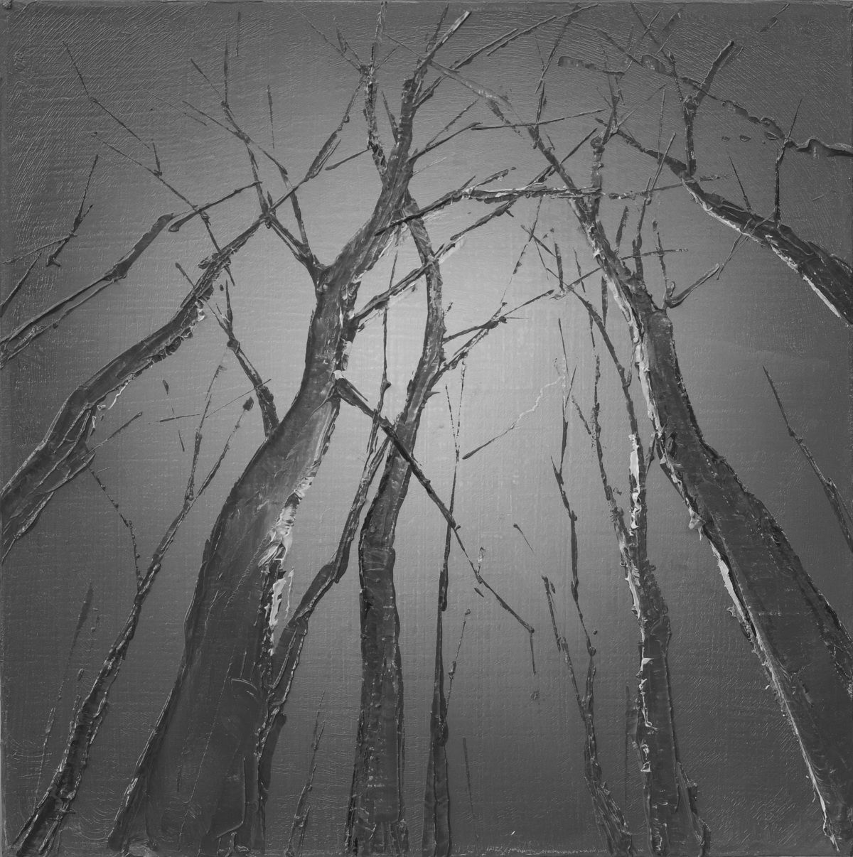 Todd Carpenter, Forestphere, 2026