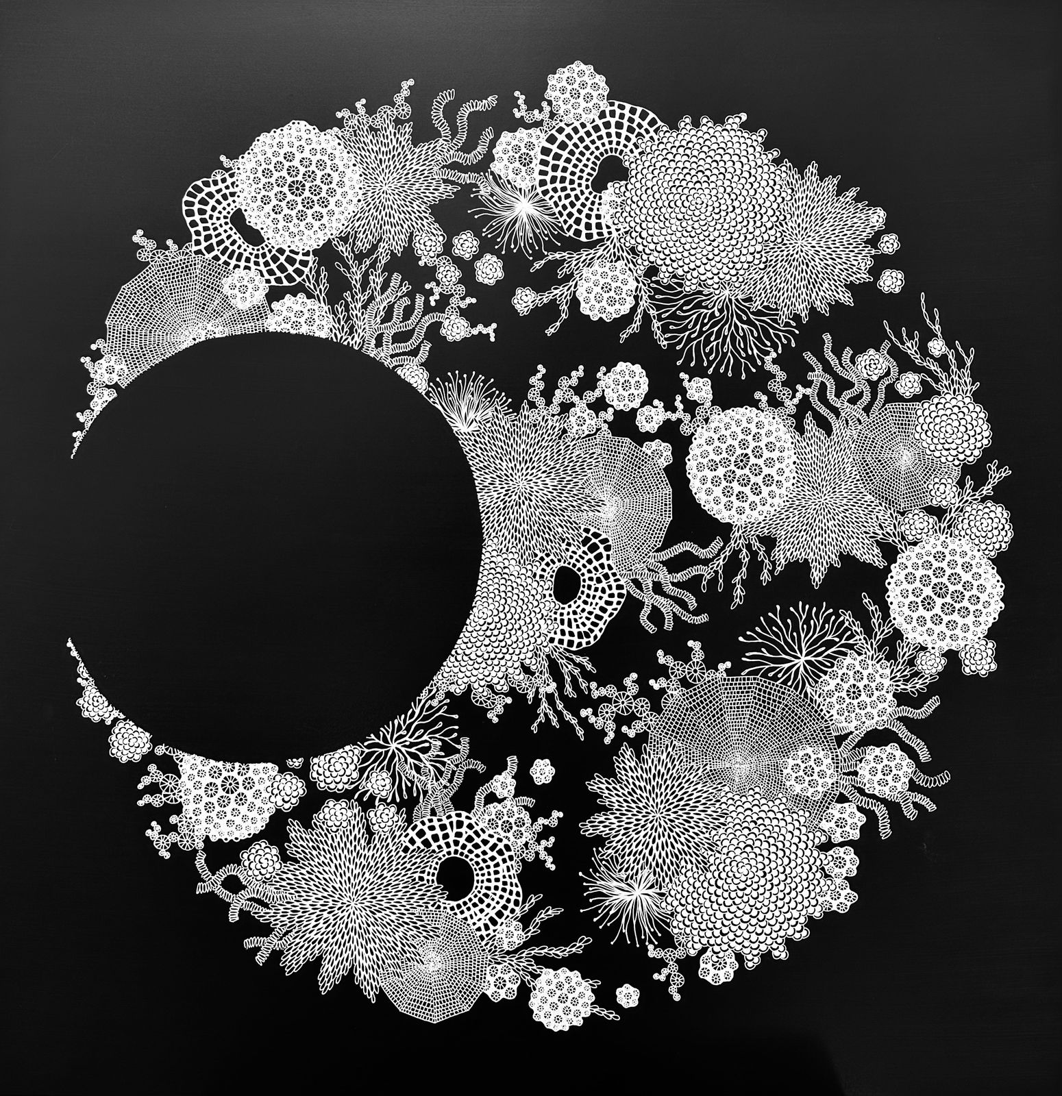 Zo Frampton, The Night Itself, 2025