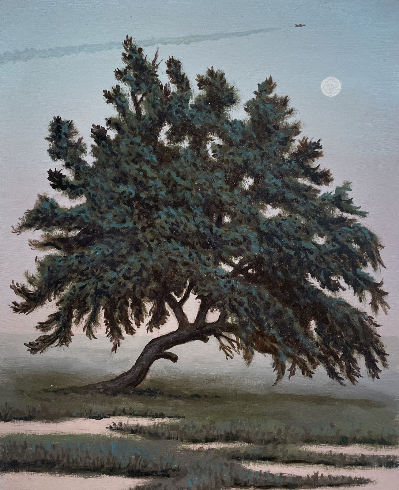 Jamie F. Adams, Willow Piece #8, 2024