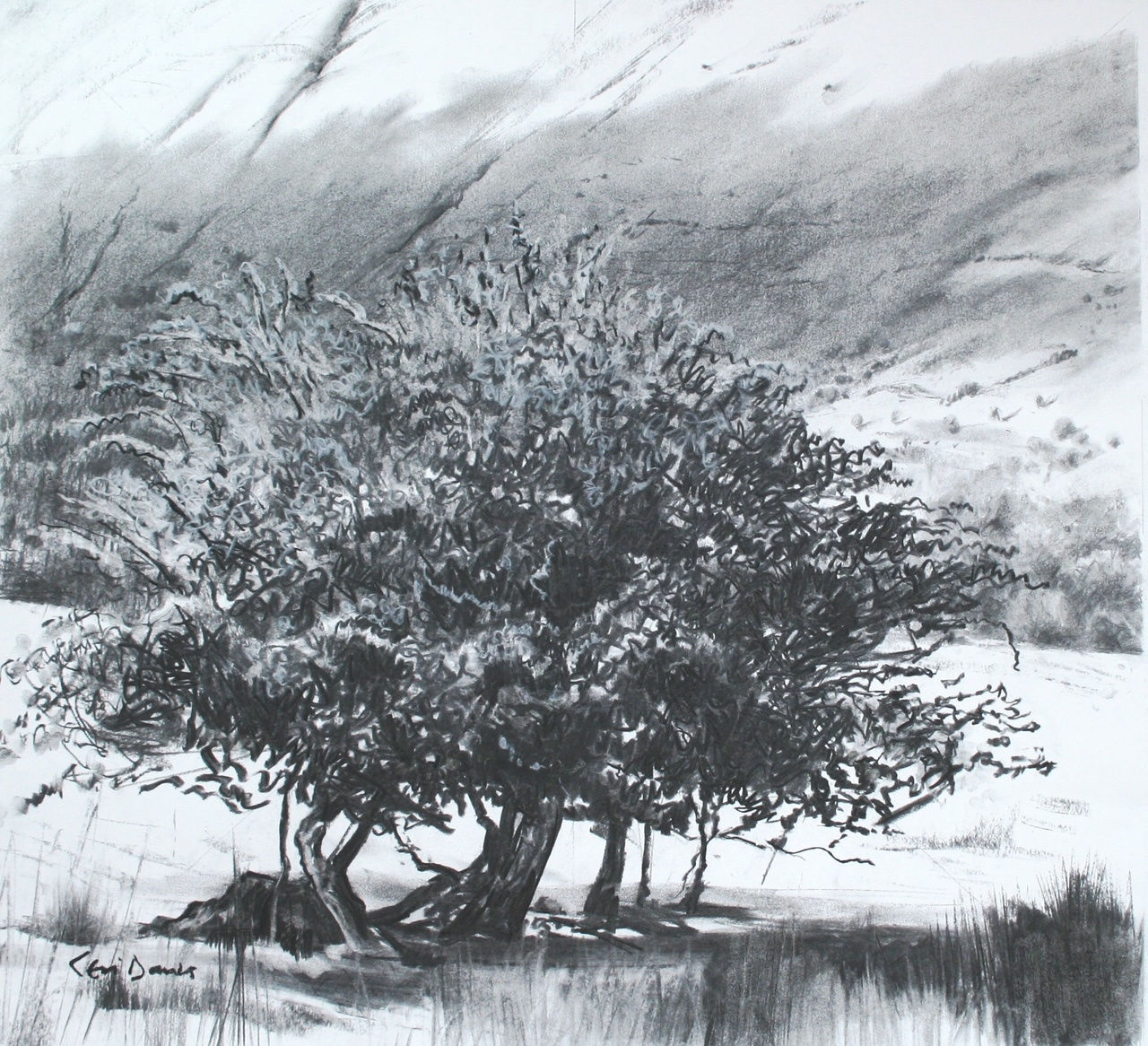 Ceri Auckland Davies, Passing Clouds, 2021