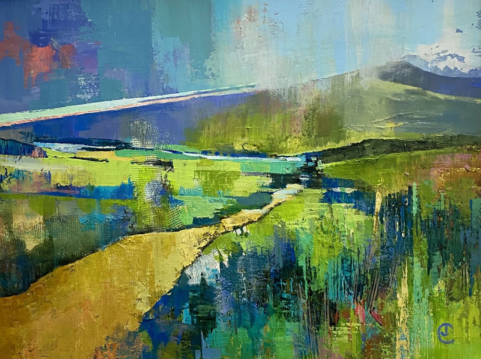 Joanna Jones, Mountain Track / Llwybr y Myndd, 2024