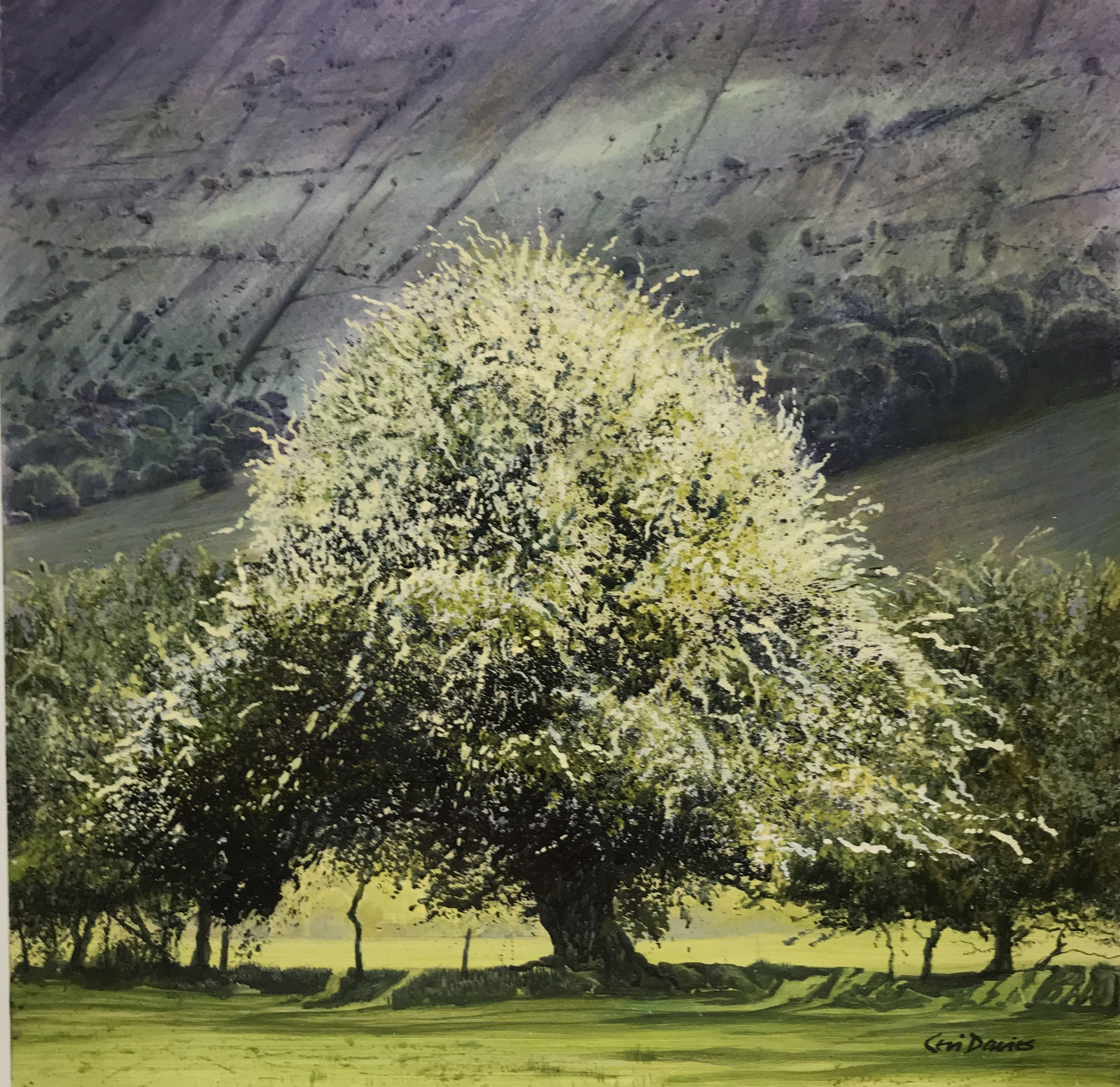 Ceri Auckland Davies, Easter Tree, 2021