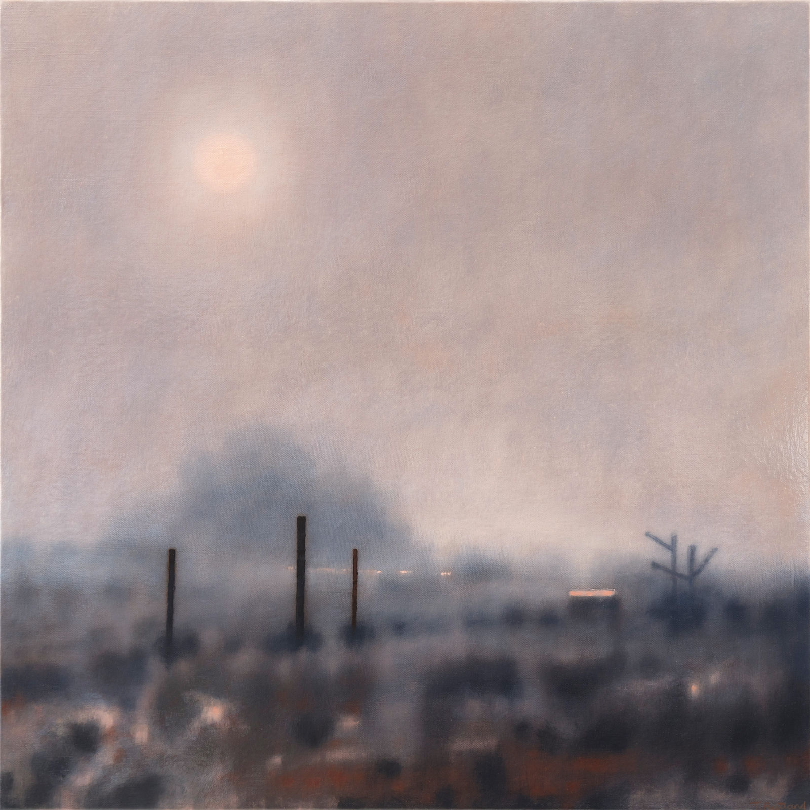 Tania rutland, A timid Sun , 2025