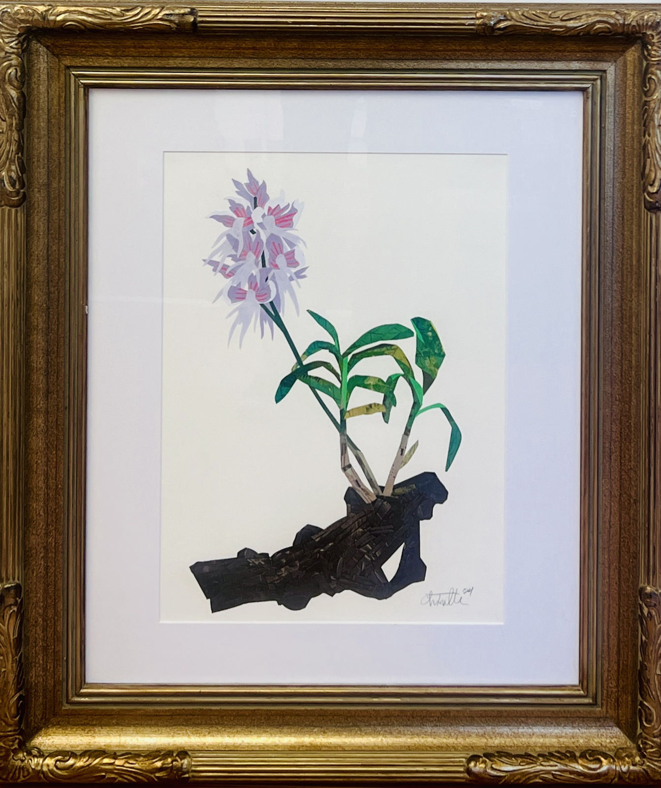 Chase Travaille, Orchid Italica, 2024