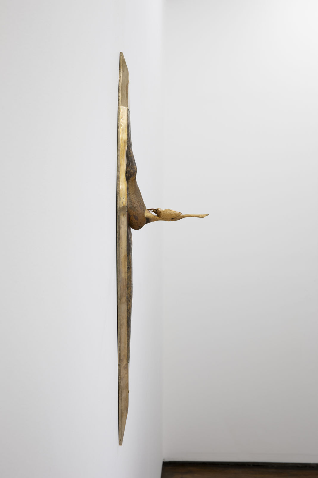 Shana Hoehn, Feeding Hummingbird, 2023